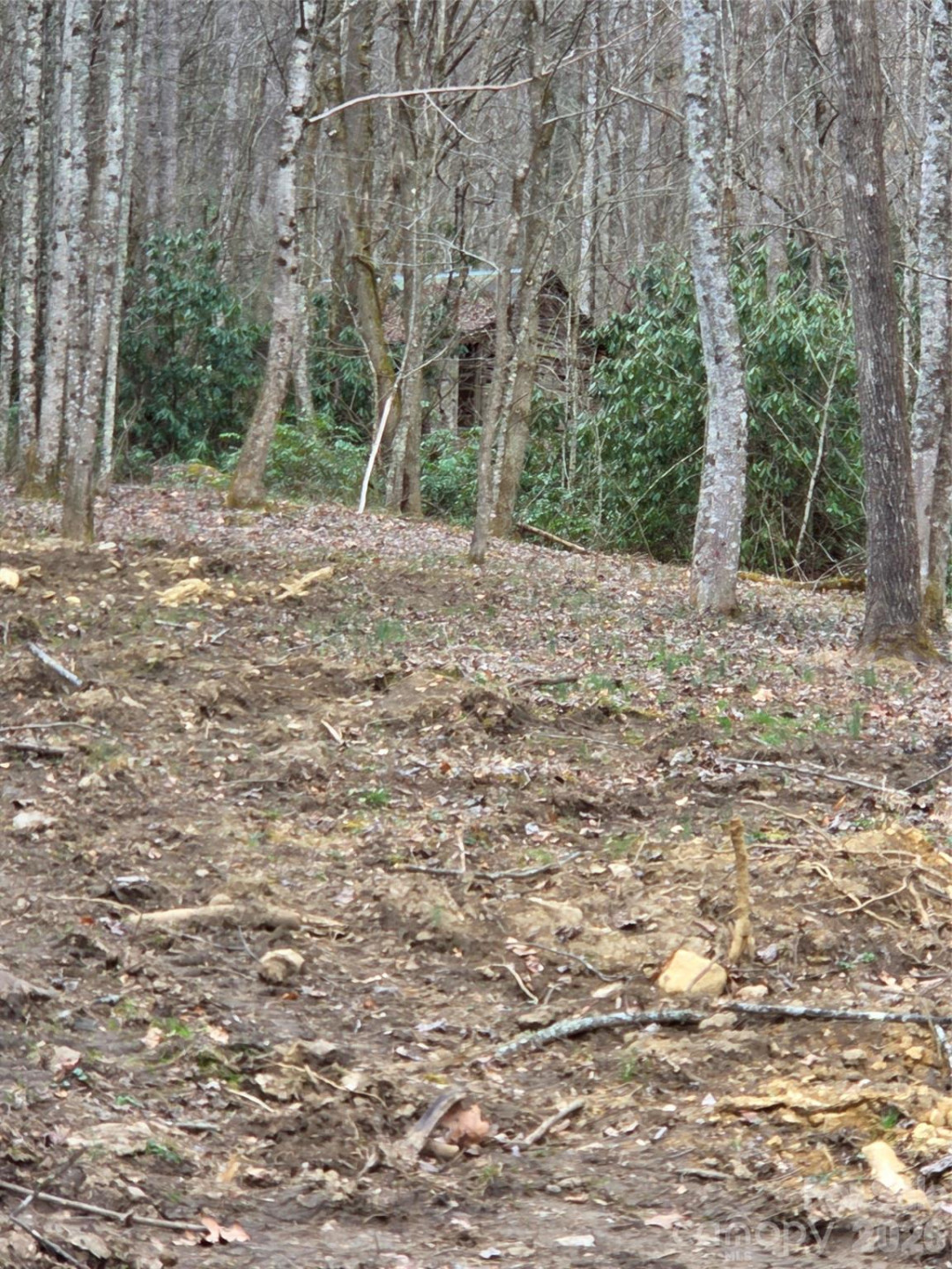 00 Laurel Branch Road - Photo 13
