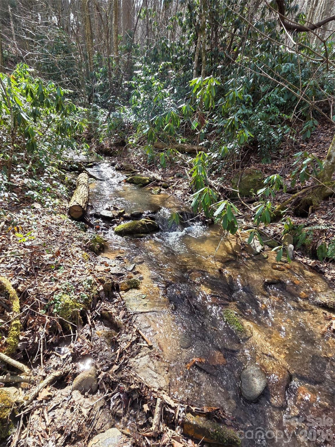 00 Laurel Branch Road - Photo 14