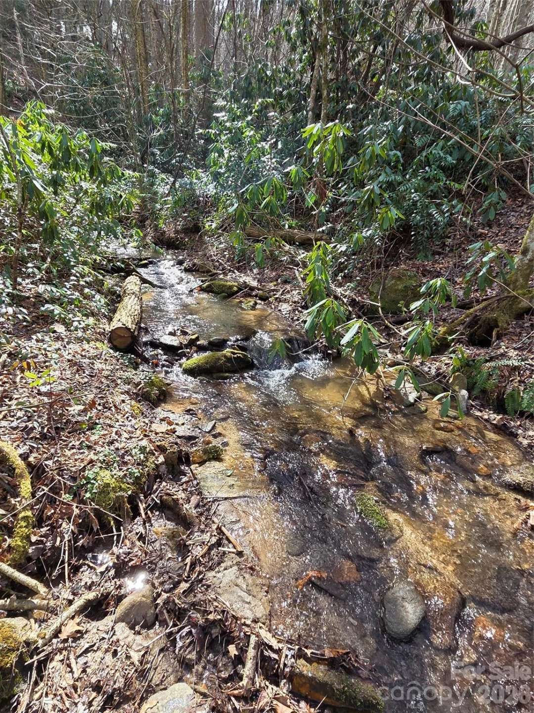 00 Laurel Branch Road - Photo 14