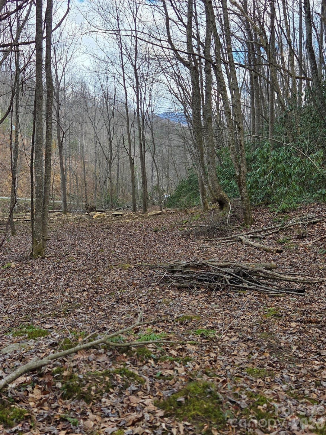 00 Laurel Branch Road - Photo 3