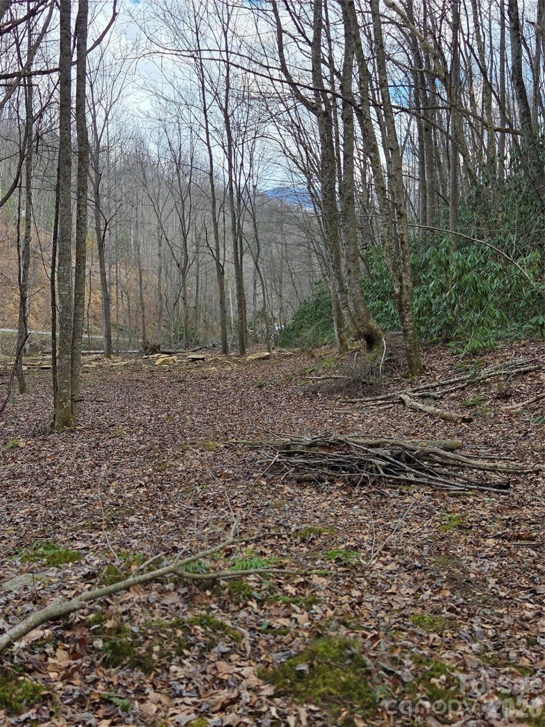 00 Laurel Branch Road - Photo 3