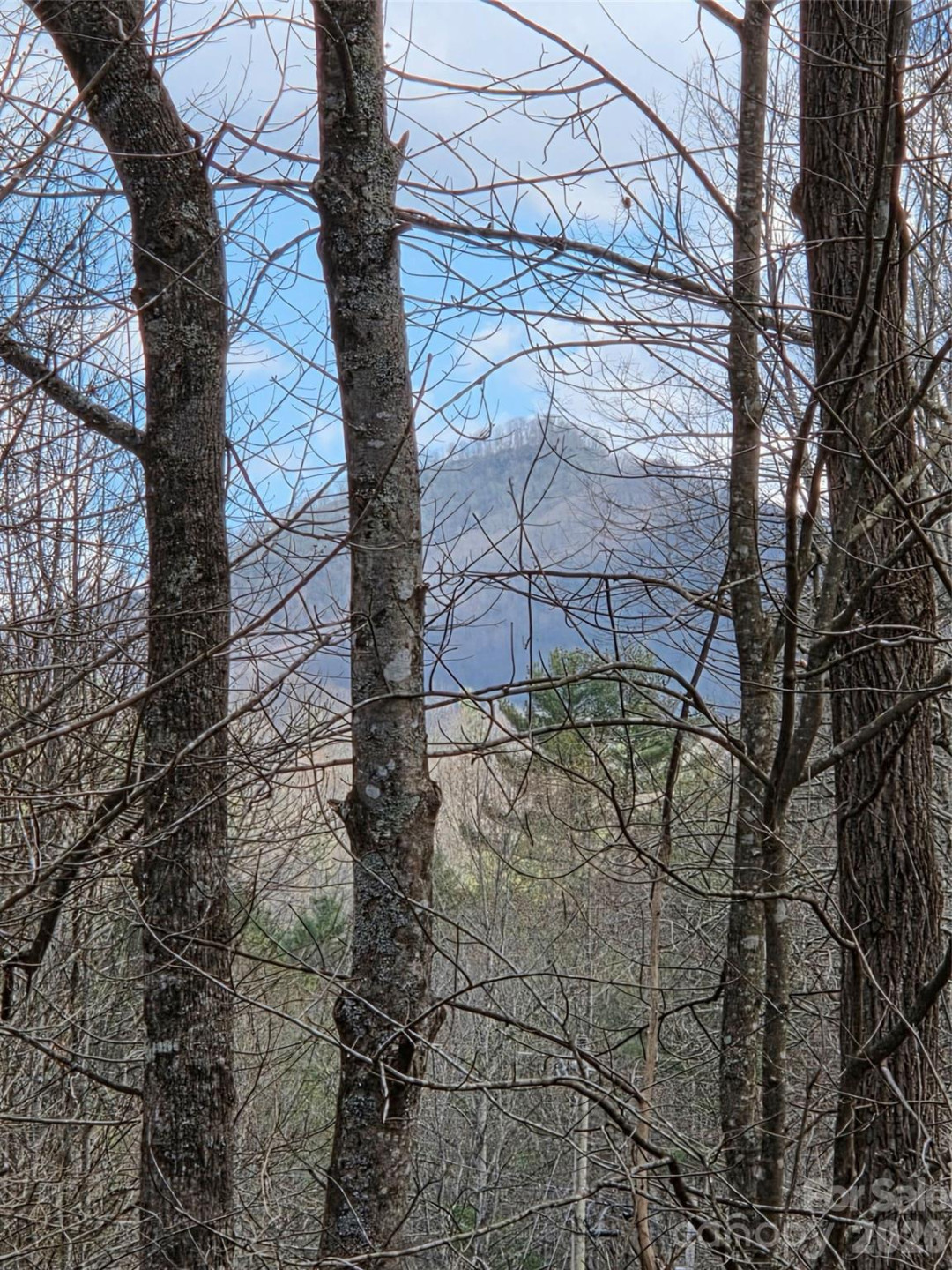 00 Laurel Branch Road - Photo 4