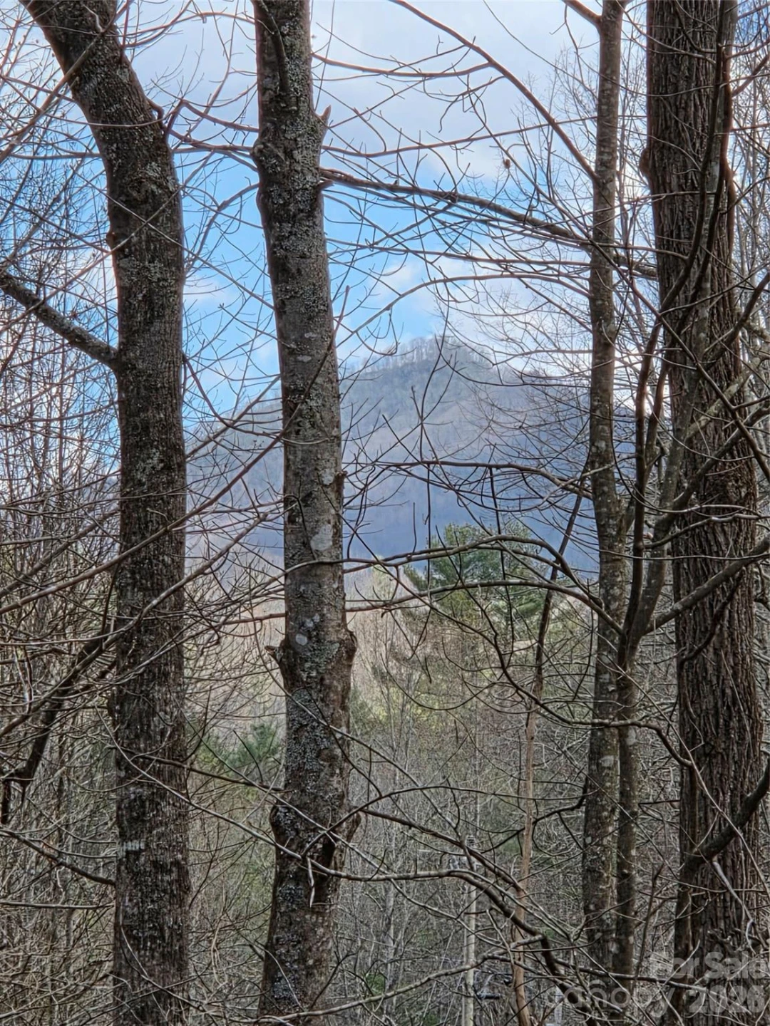 00 Laurel Branch Road - Photo 4