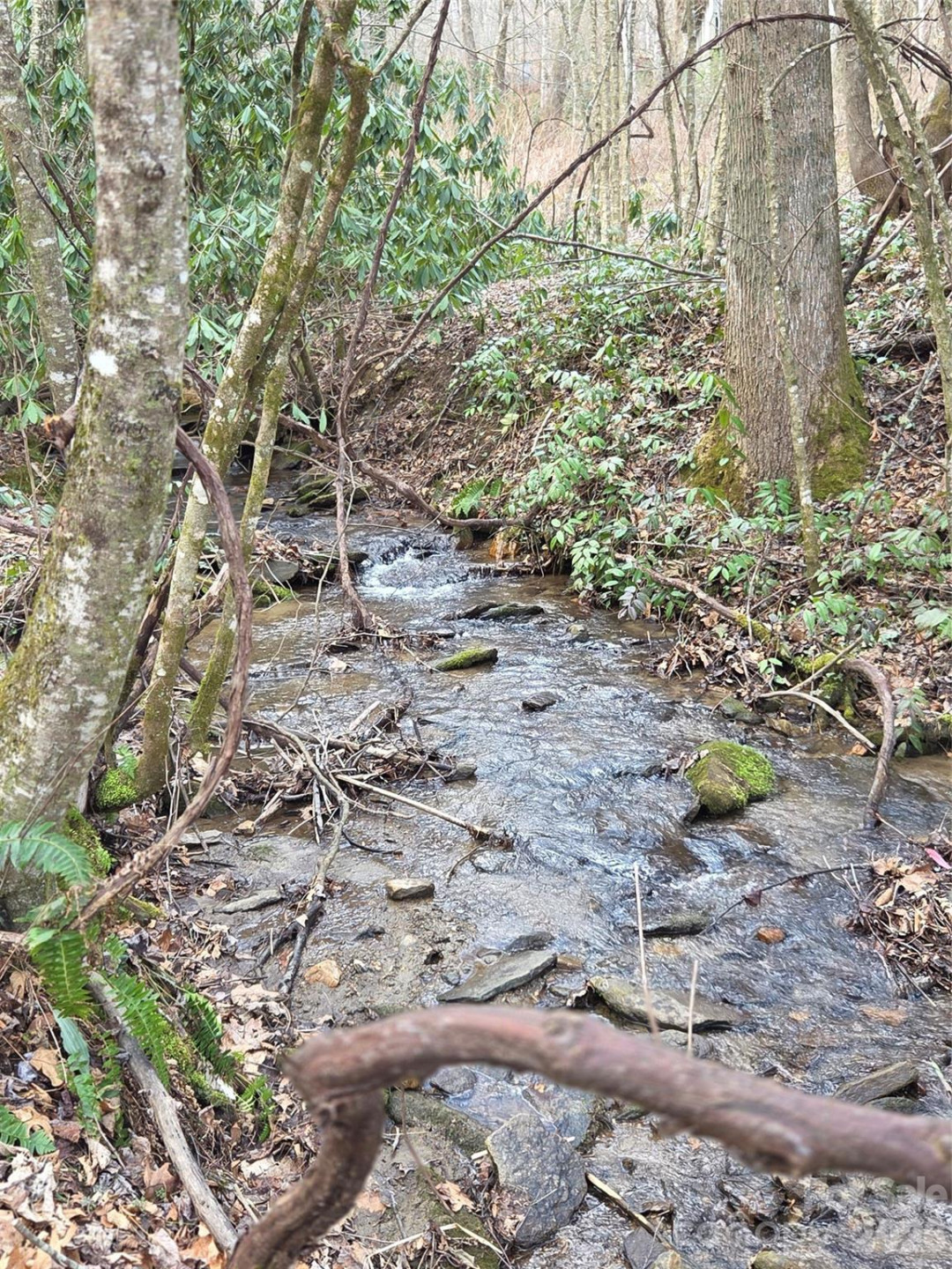 00 Laurel Branch Road - Photo 5