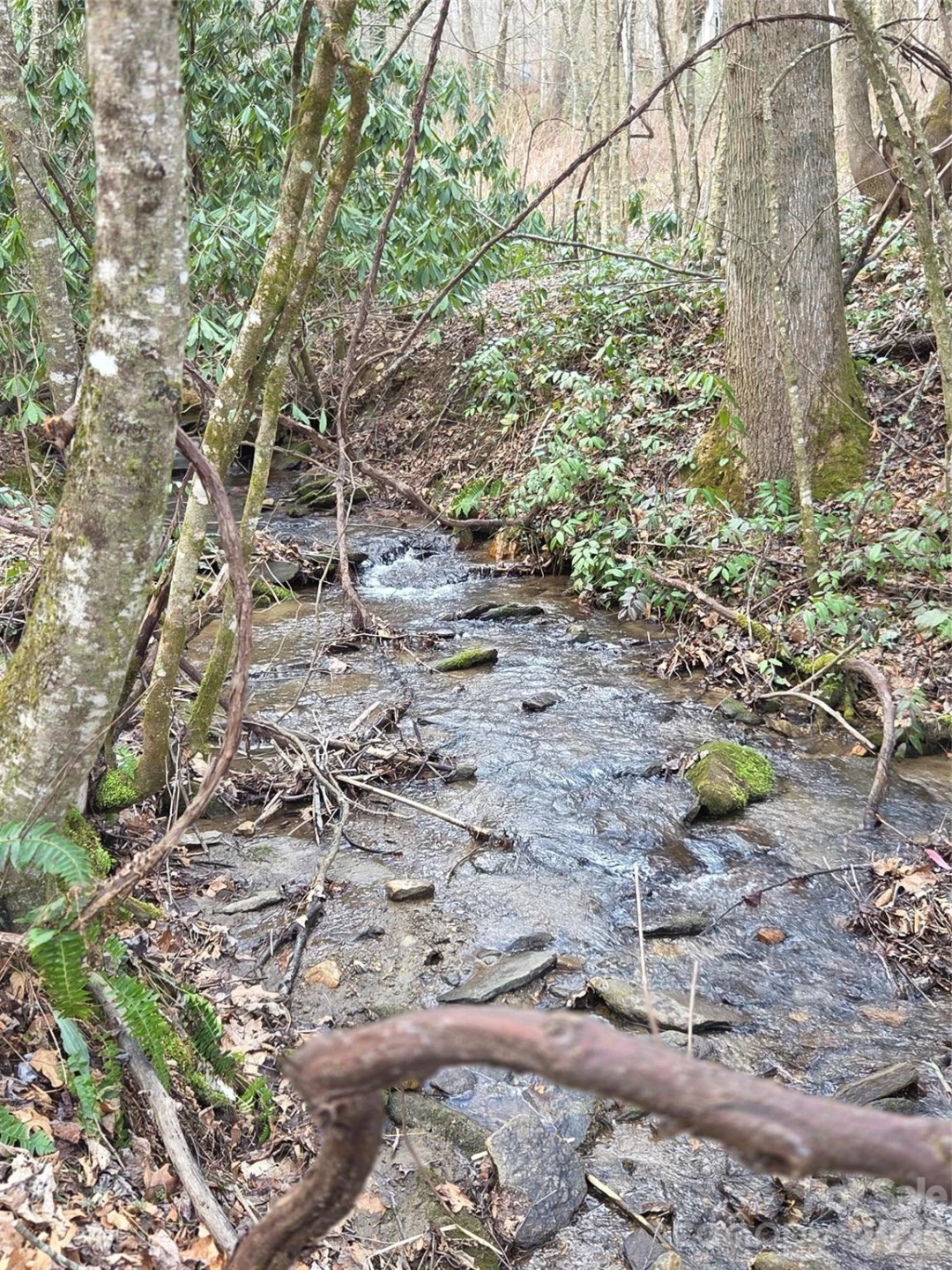 00 Laurel Branch Road - Photo 5