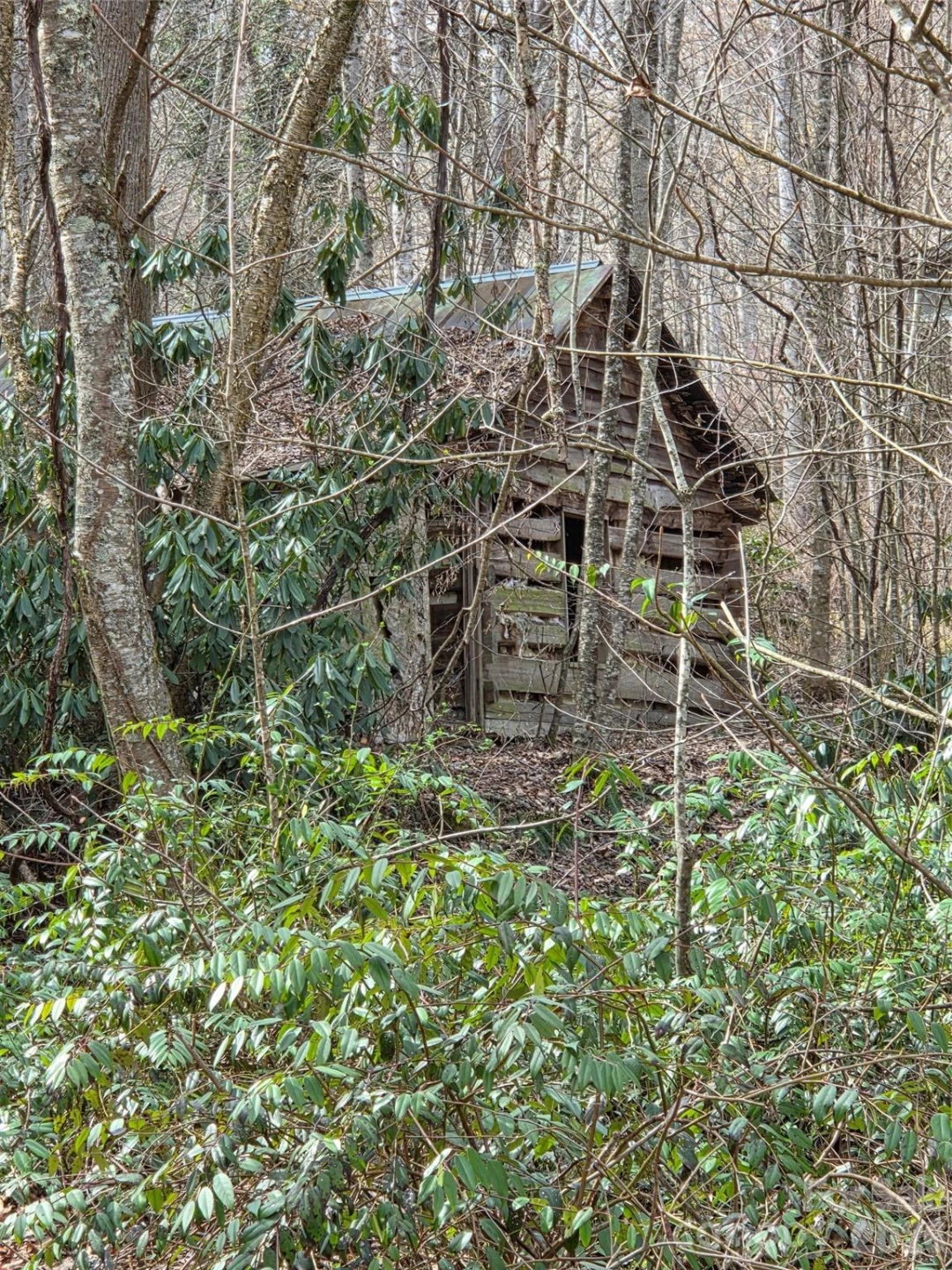 00 Laurel Branch Road - Photo 6