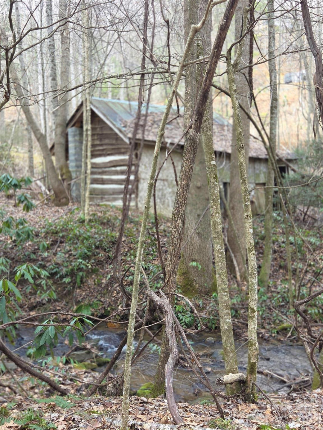 00 Laurel Branch Road - Photo 7