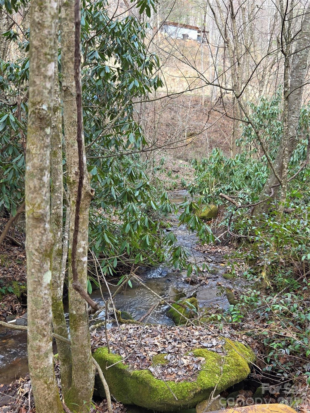 00 Laurel Branch Road - Photo 9