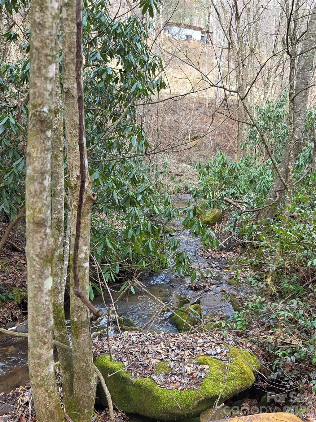 00 Laurel Branch Road - Photo 9