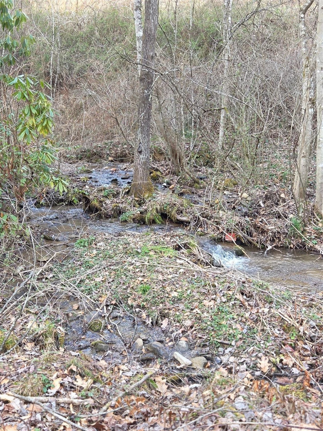00 Laurel Branch Road - Photo 10