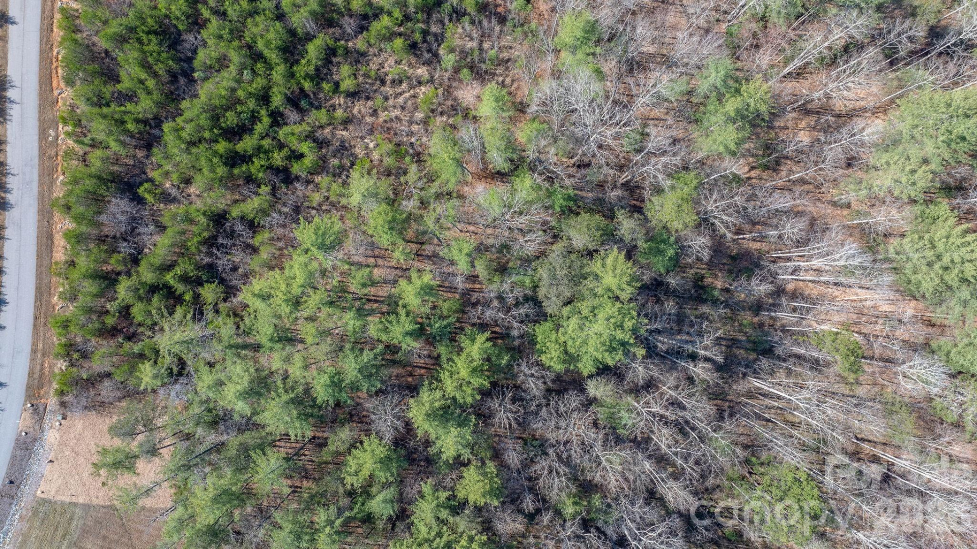 2084 Starlight Lane - Photo 12