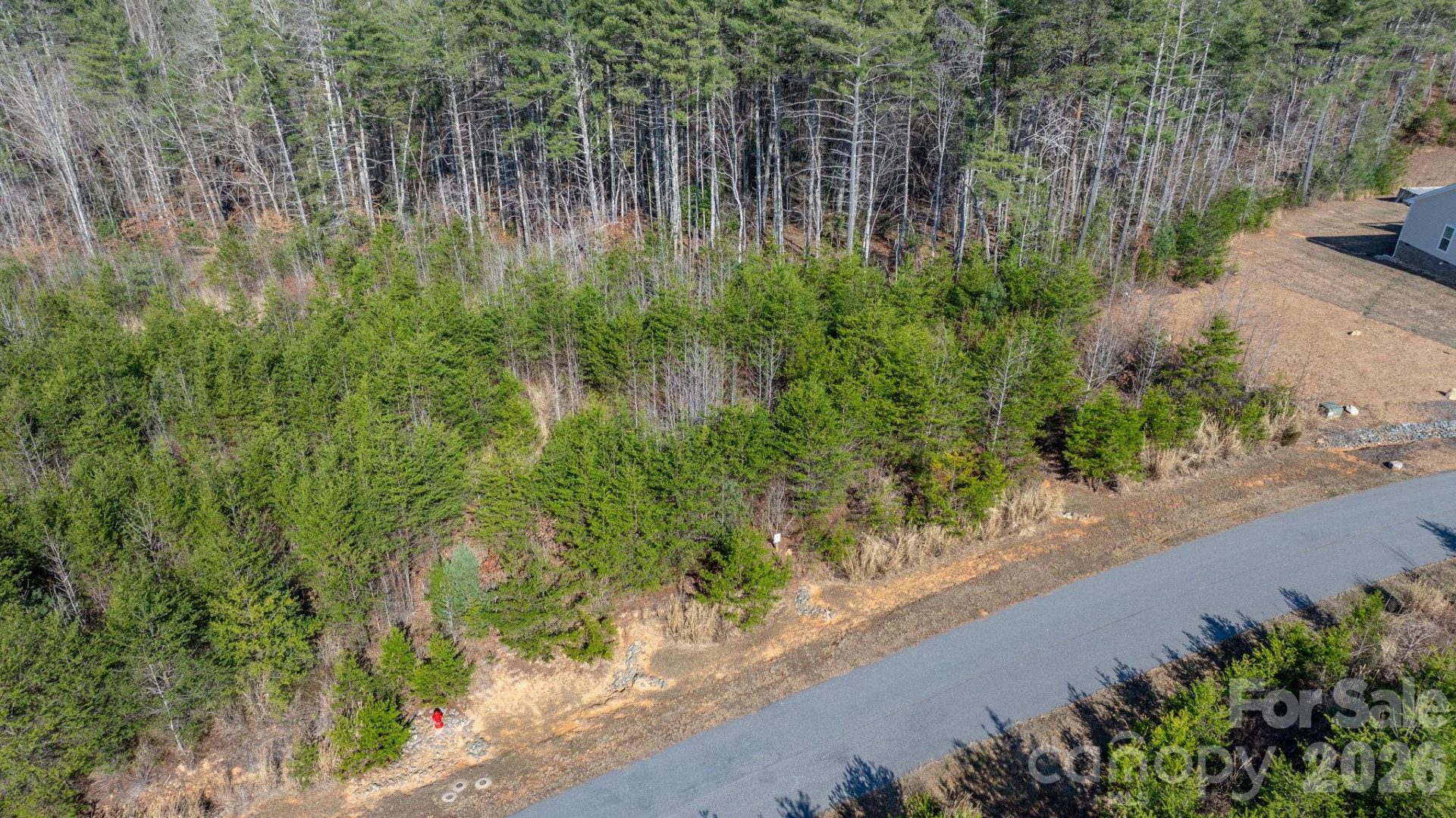 2084 Starlight Lane - Photo 10