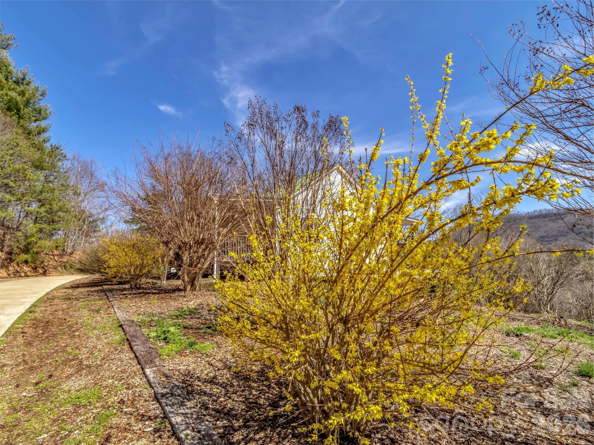 39 Millard Cove Road - Photo 36