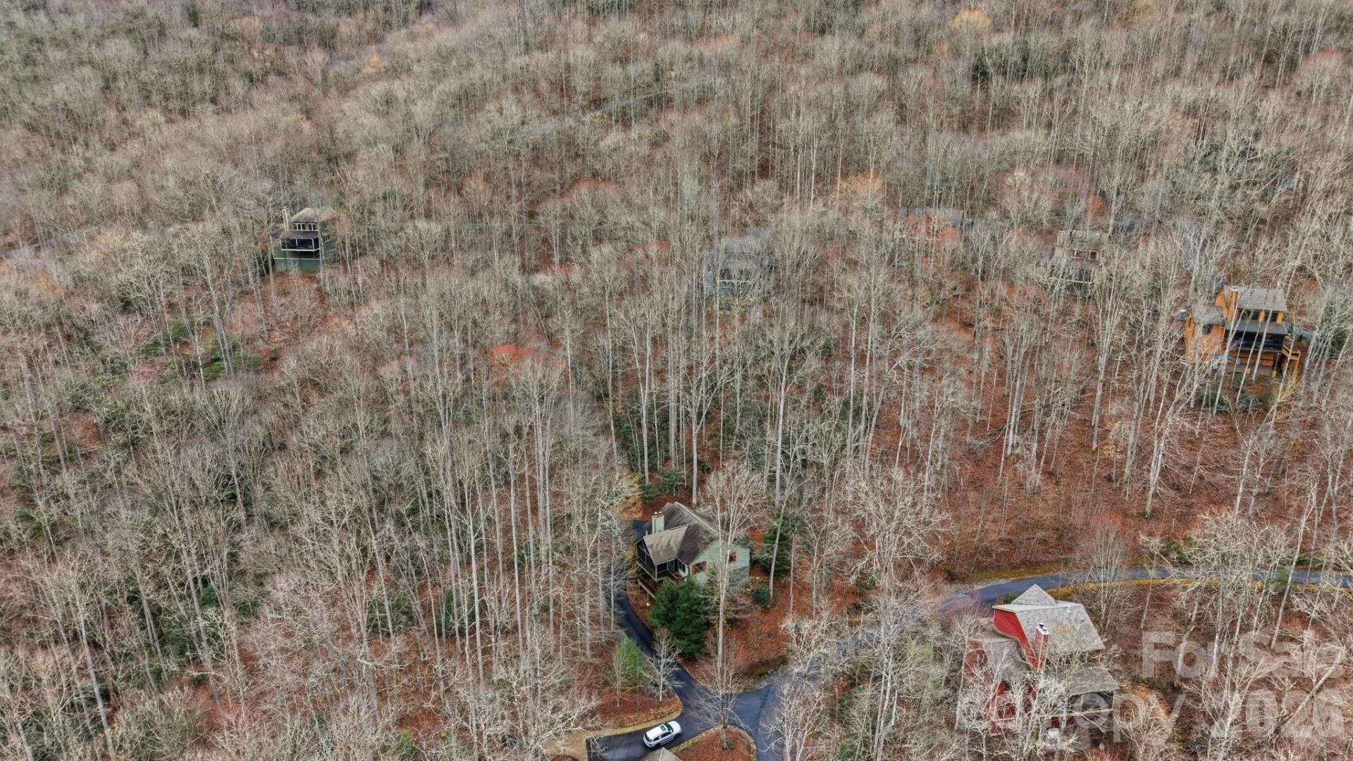 142 Allspice Court - Photo 41