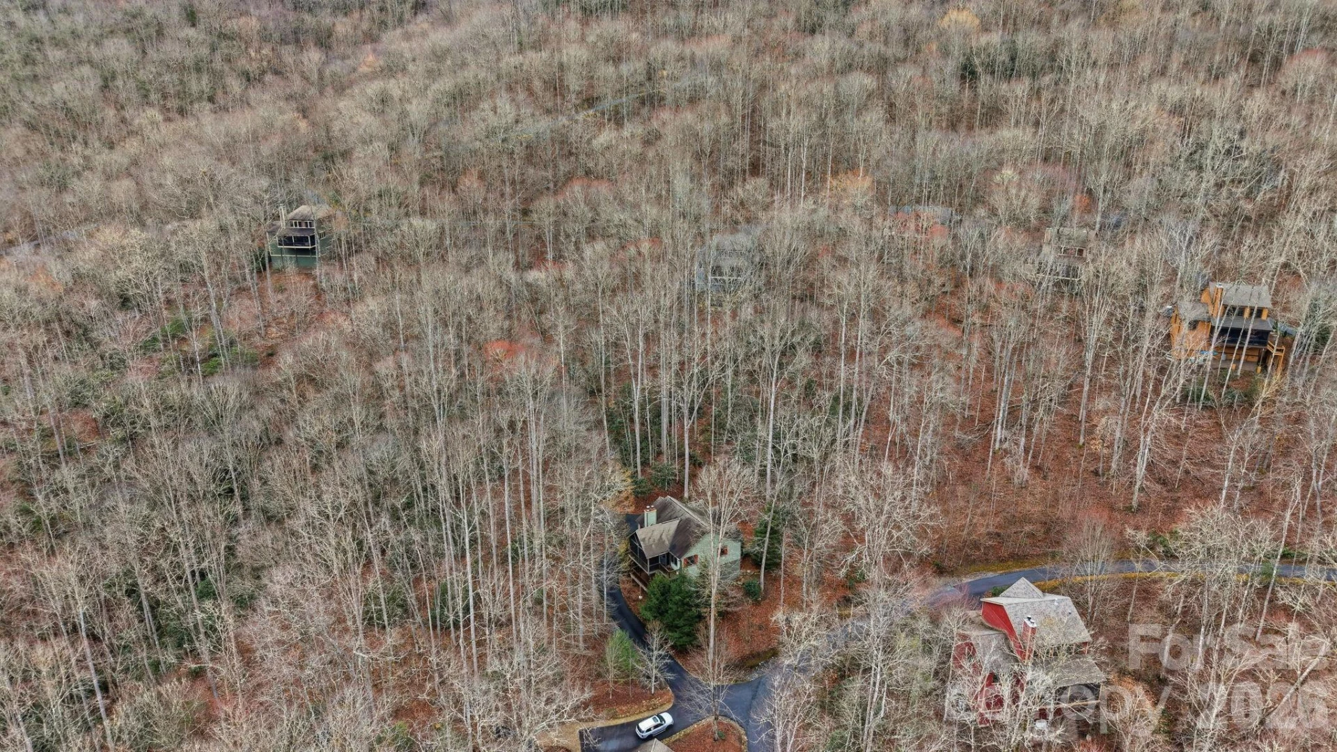 142 Allspice Court - Photo 41