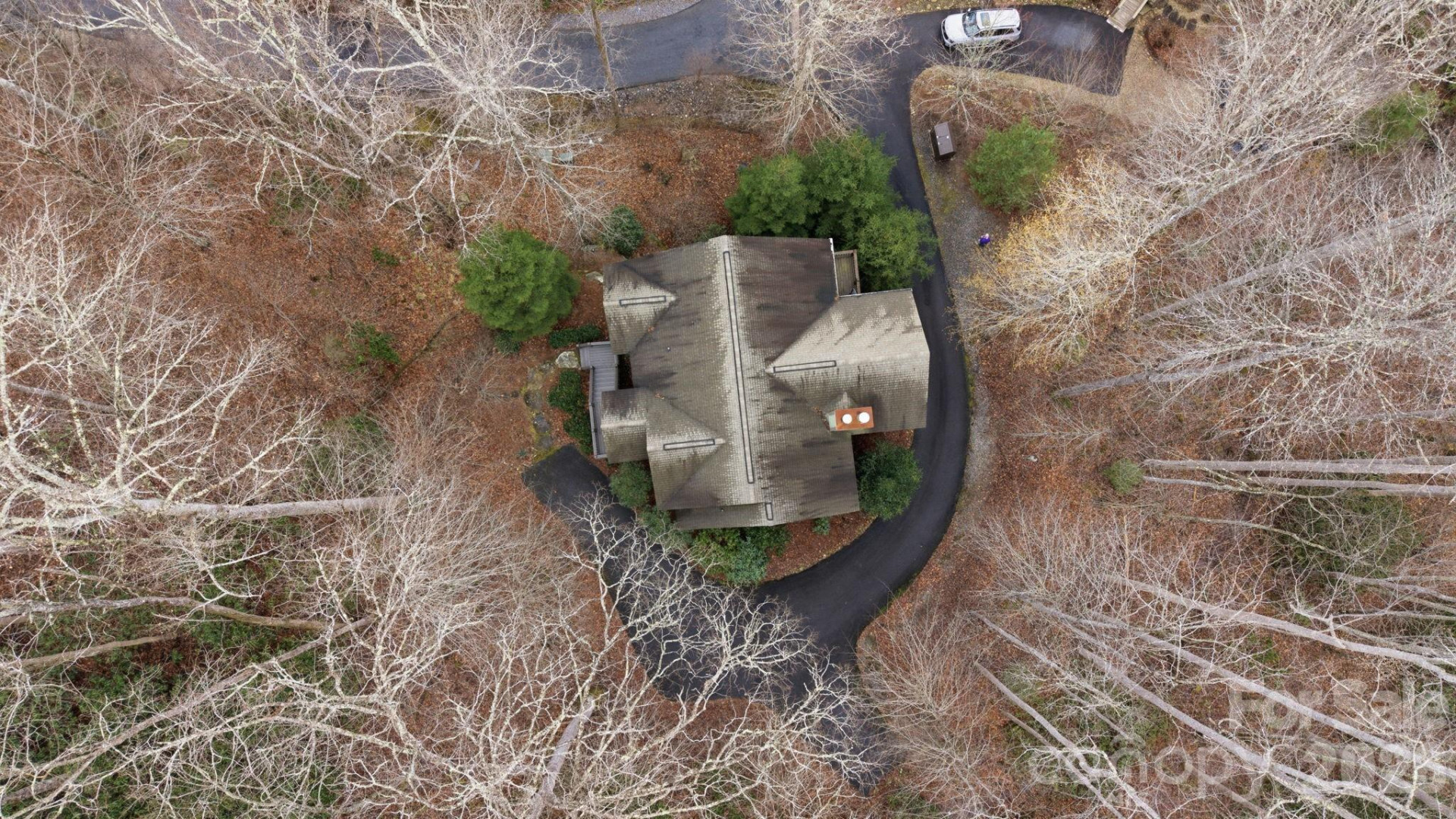 142 Allspice Court - Photo 45