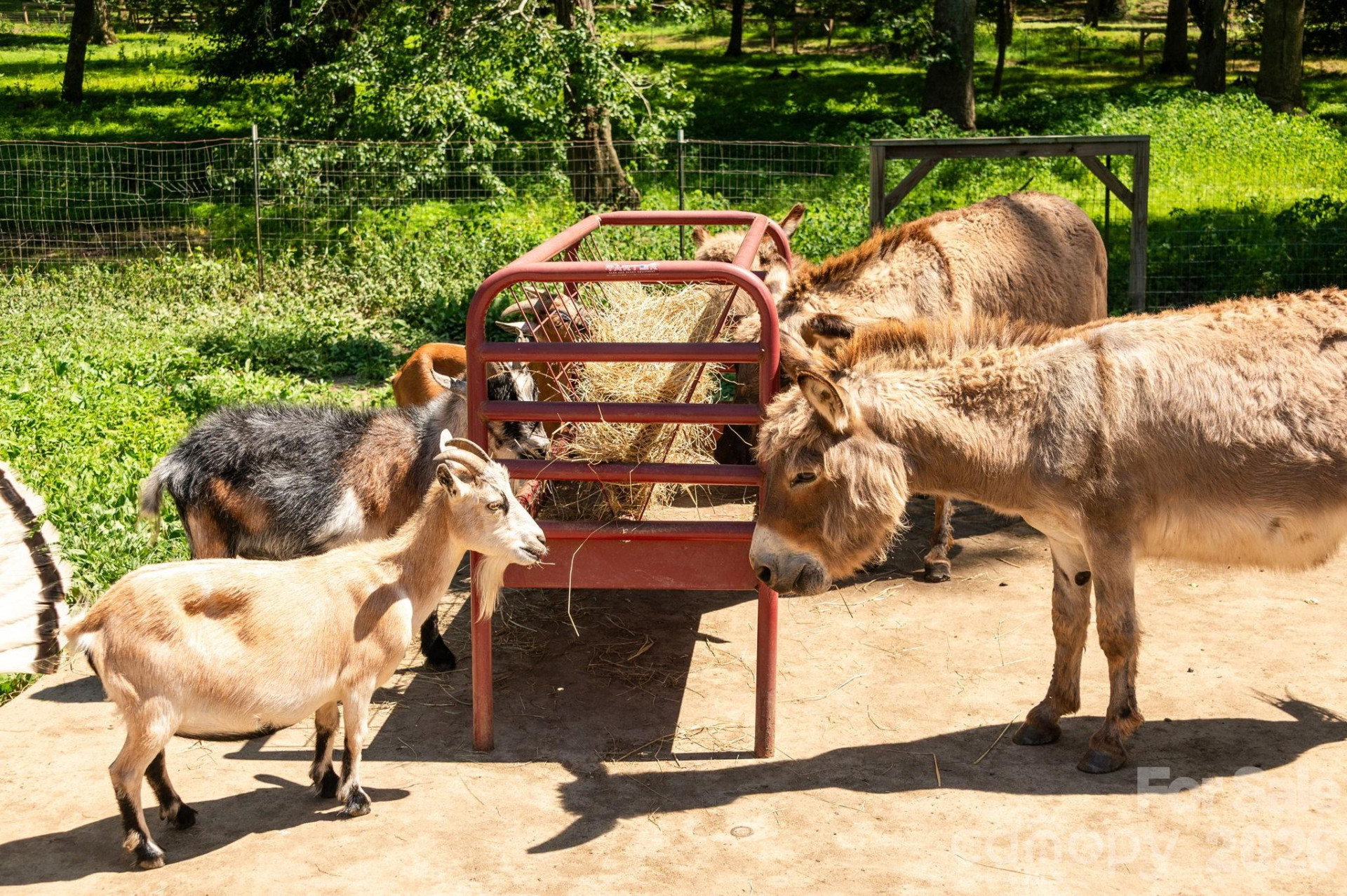 16 School House Road - Photo 41