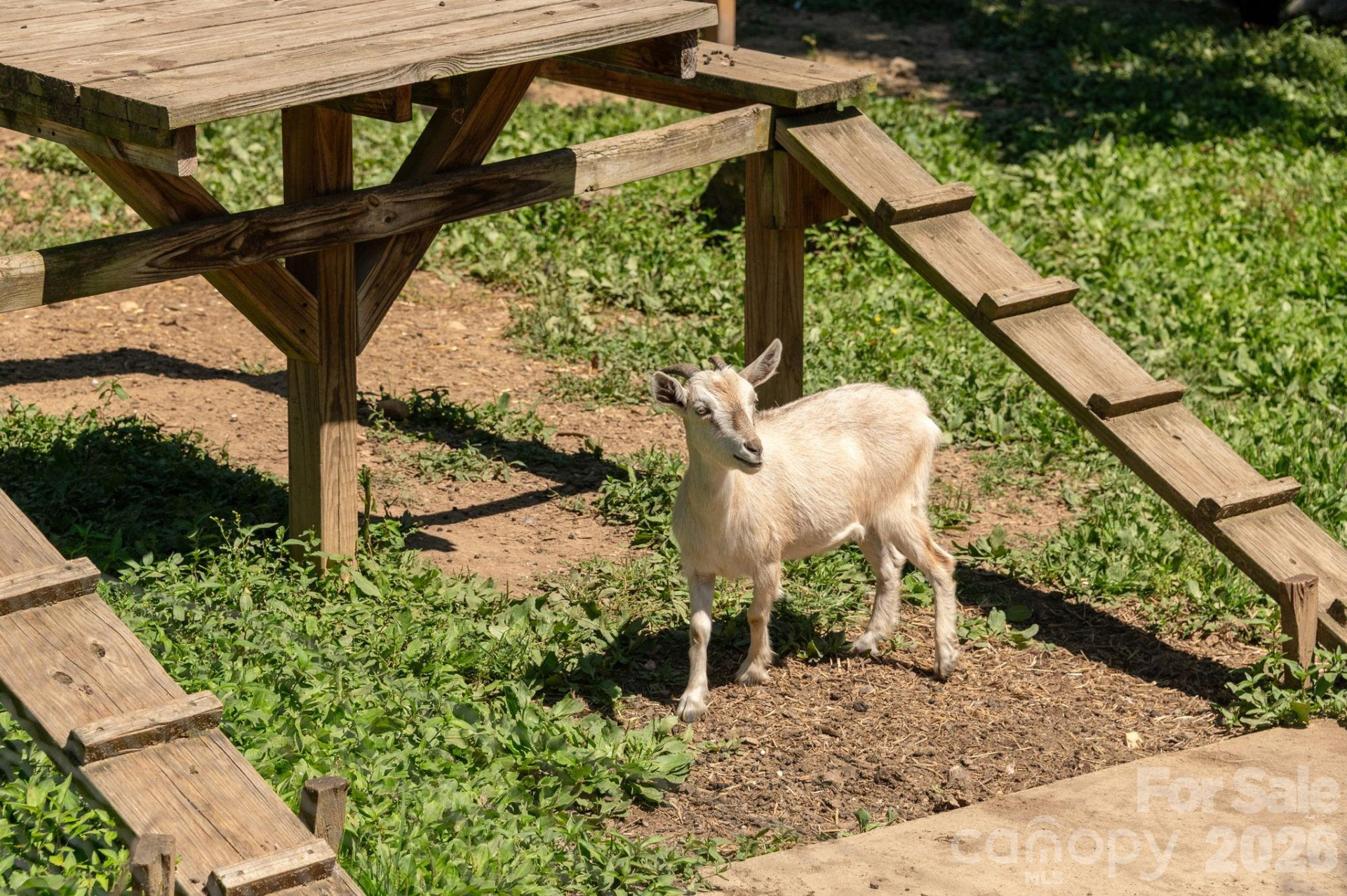 16 School House Road - Photo 42