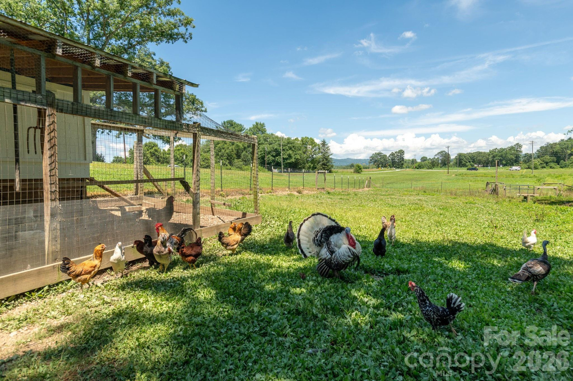 16 School House Road - Photo 45