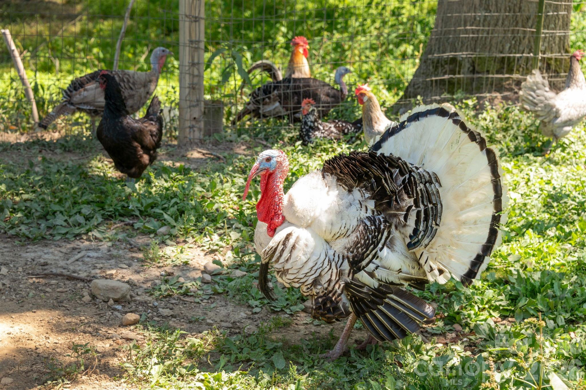 16 School House Road - Photo 46