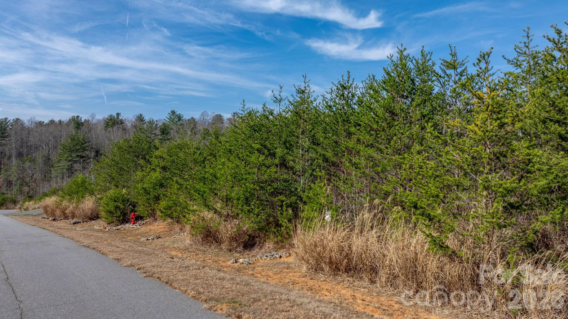 2084 Starlight Lane - Photo 14