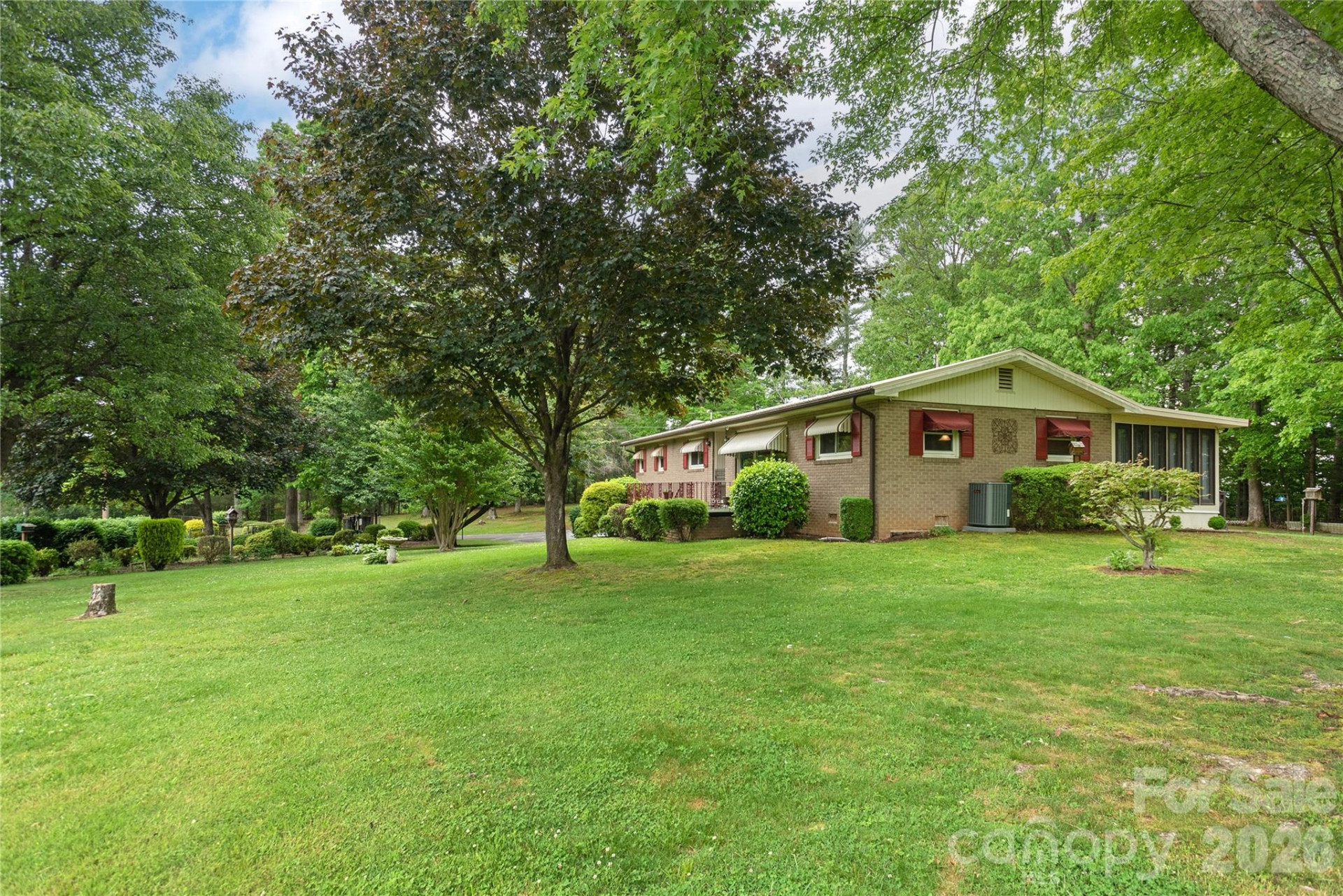 204 Reed Drive - Photo 4