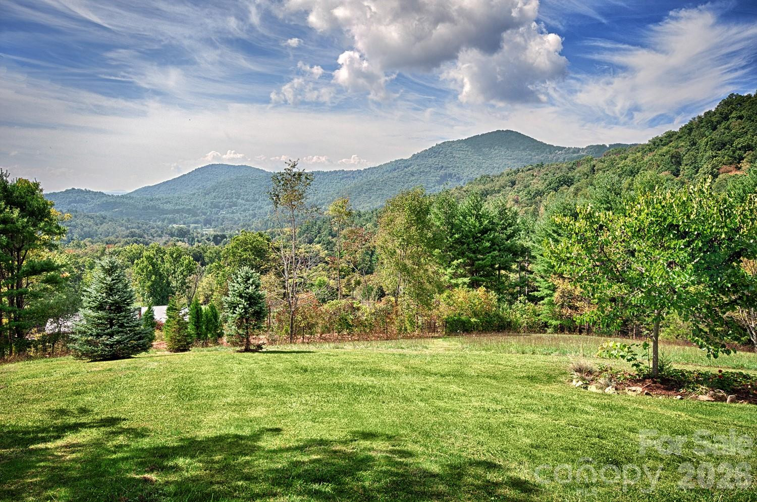 281 Jones Cove Road - Photo 4