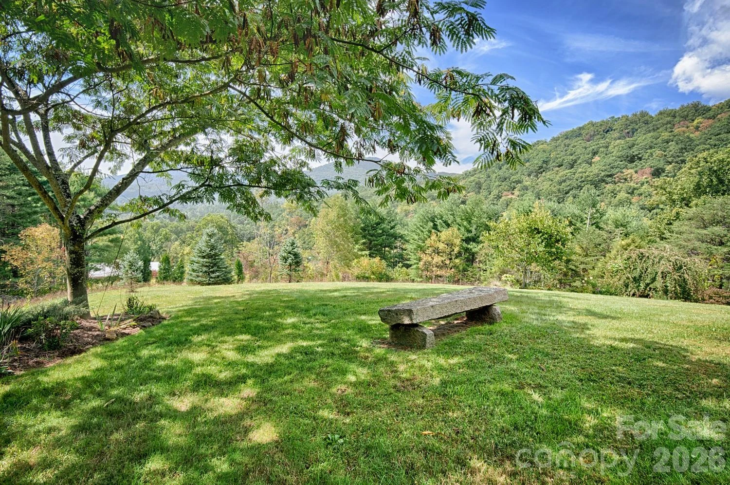 281 Jones Cove Road - Photo 6