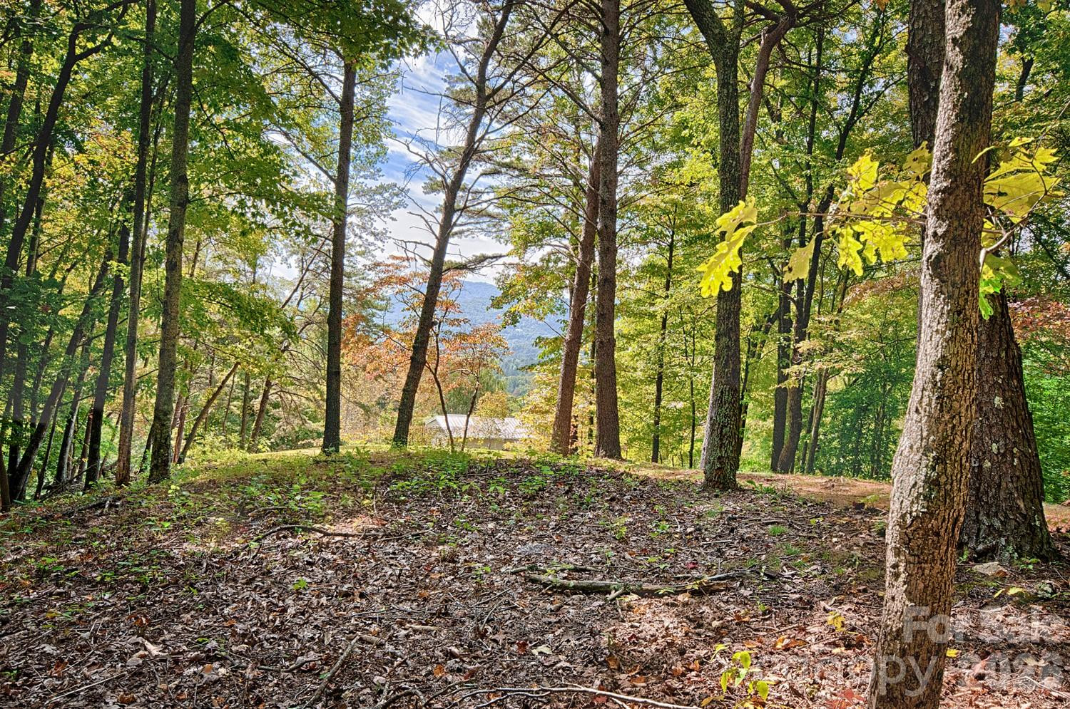 281 Jones Cove Road - Photo 9