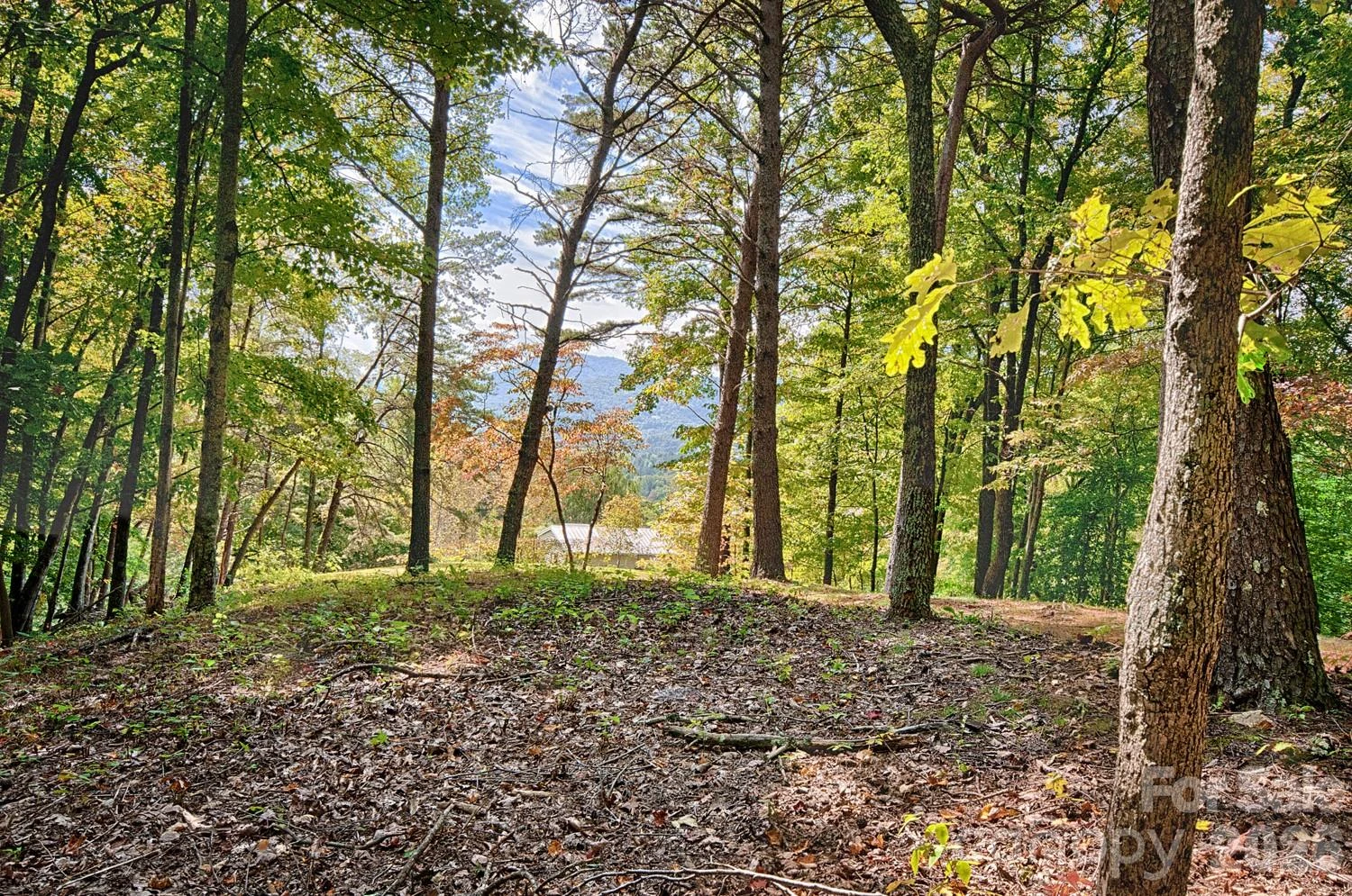 281 Jones Cove Road - Photo 9