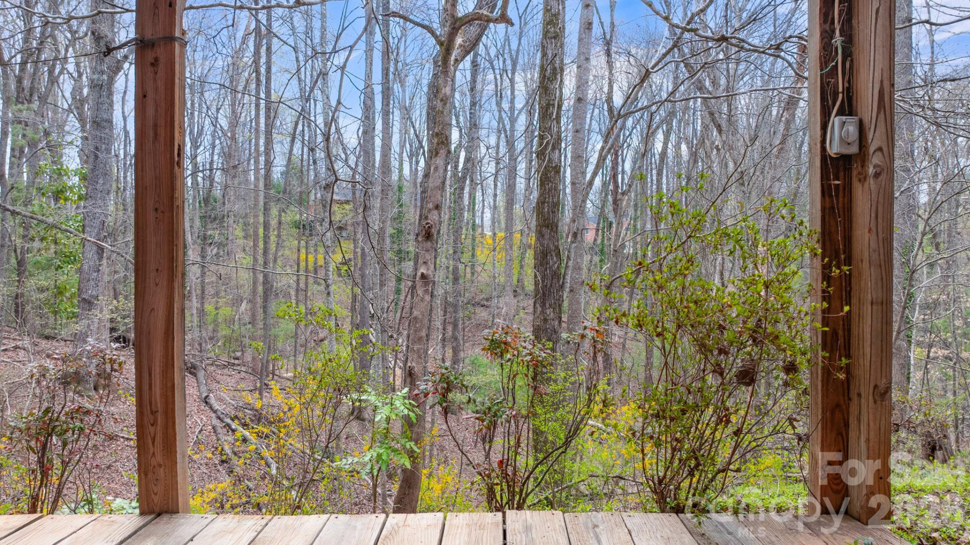 75 Laurelwood Drive #69 - Photo 31