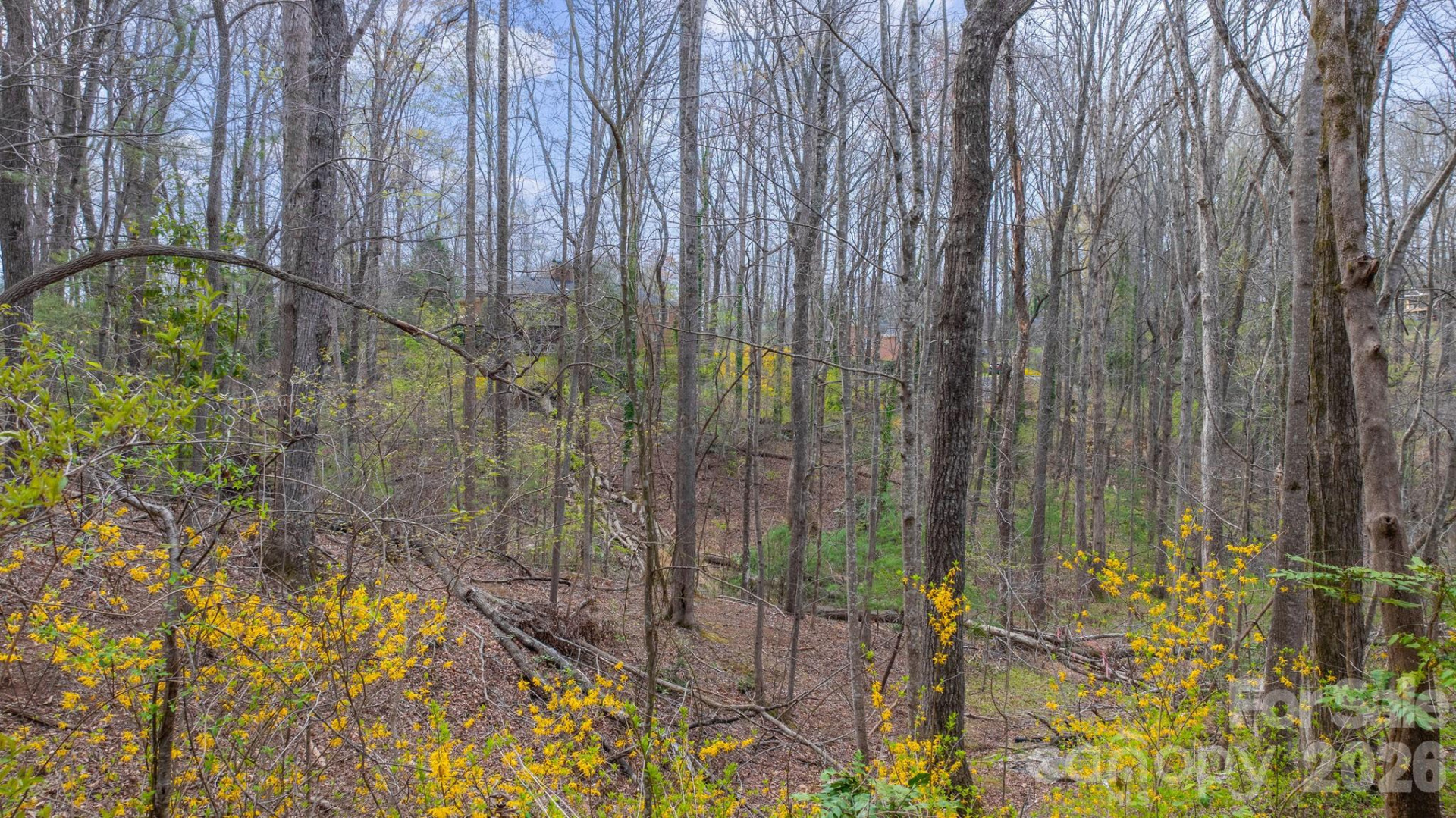 75 Laurelwood Drive #69 - Photo 32