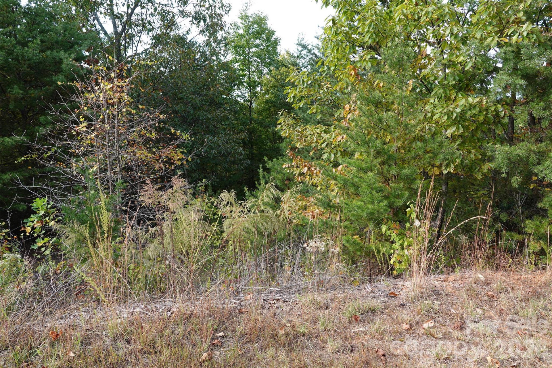 109 Ampersand Trail - Photo 2