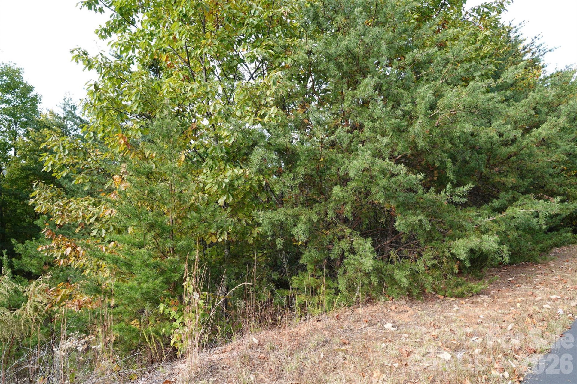 109 Ampersand Trail - Photo 3