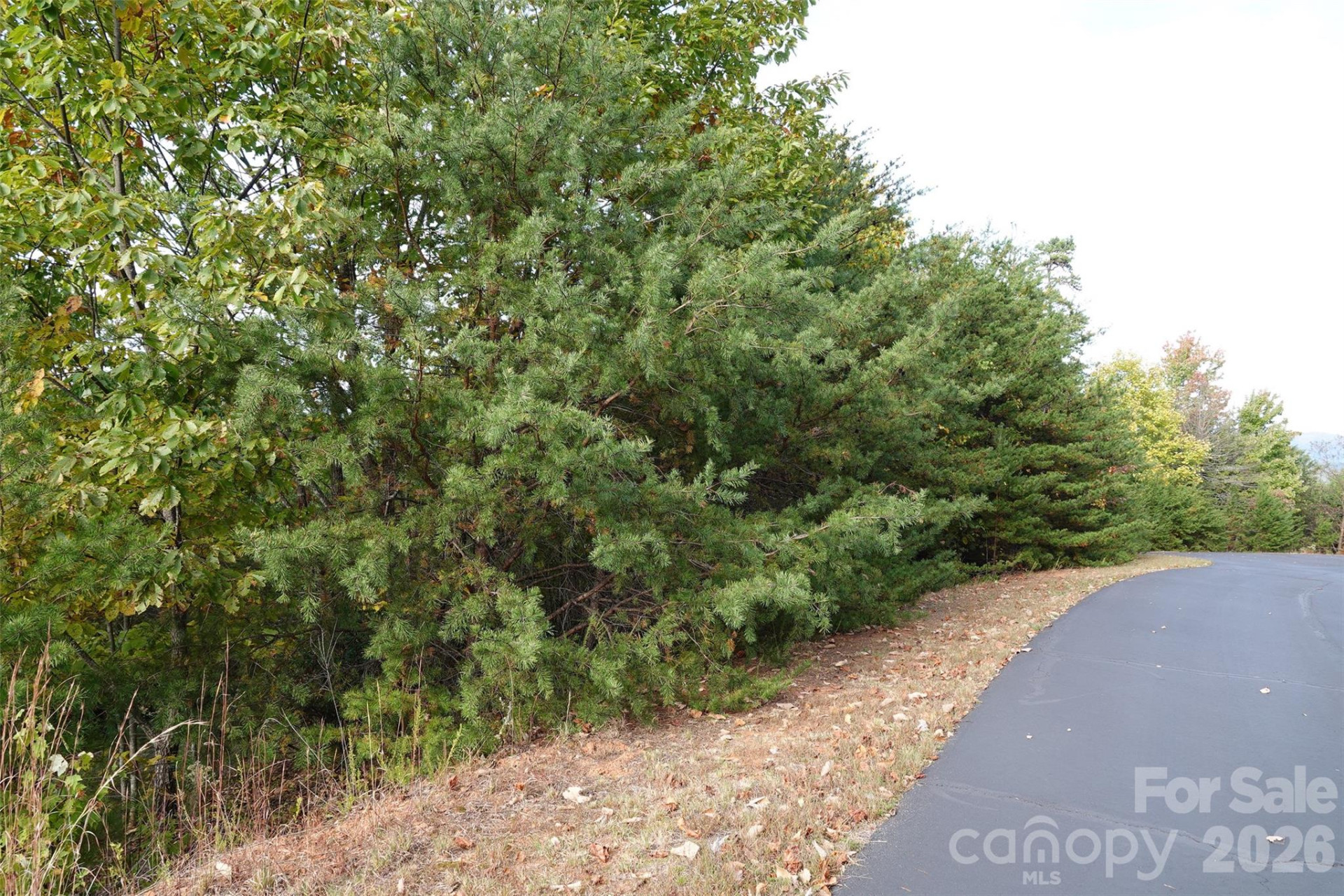 109 Ampersand Trail - Photo 4