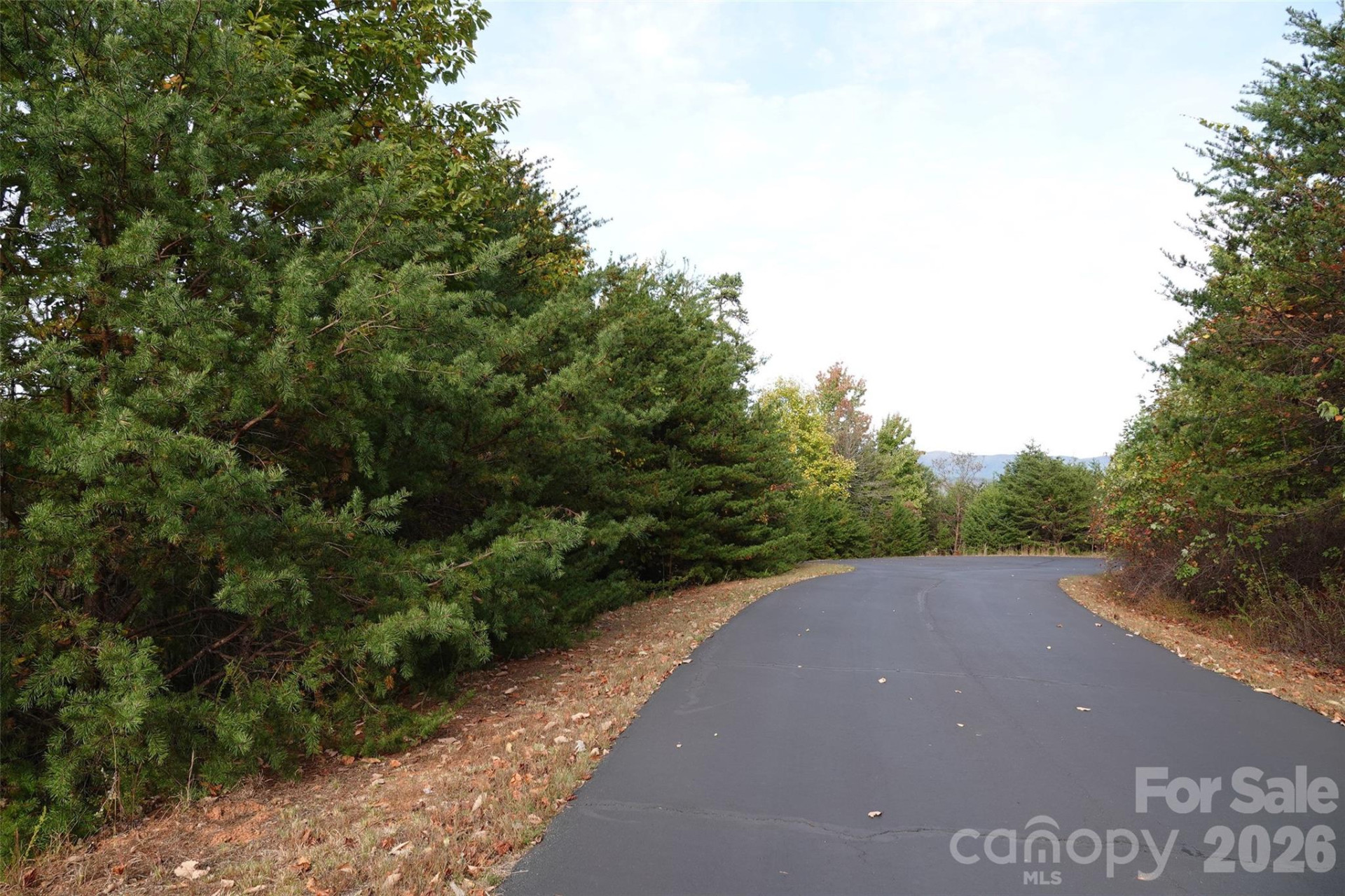 109 Ampersand Trail - Photo 5