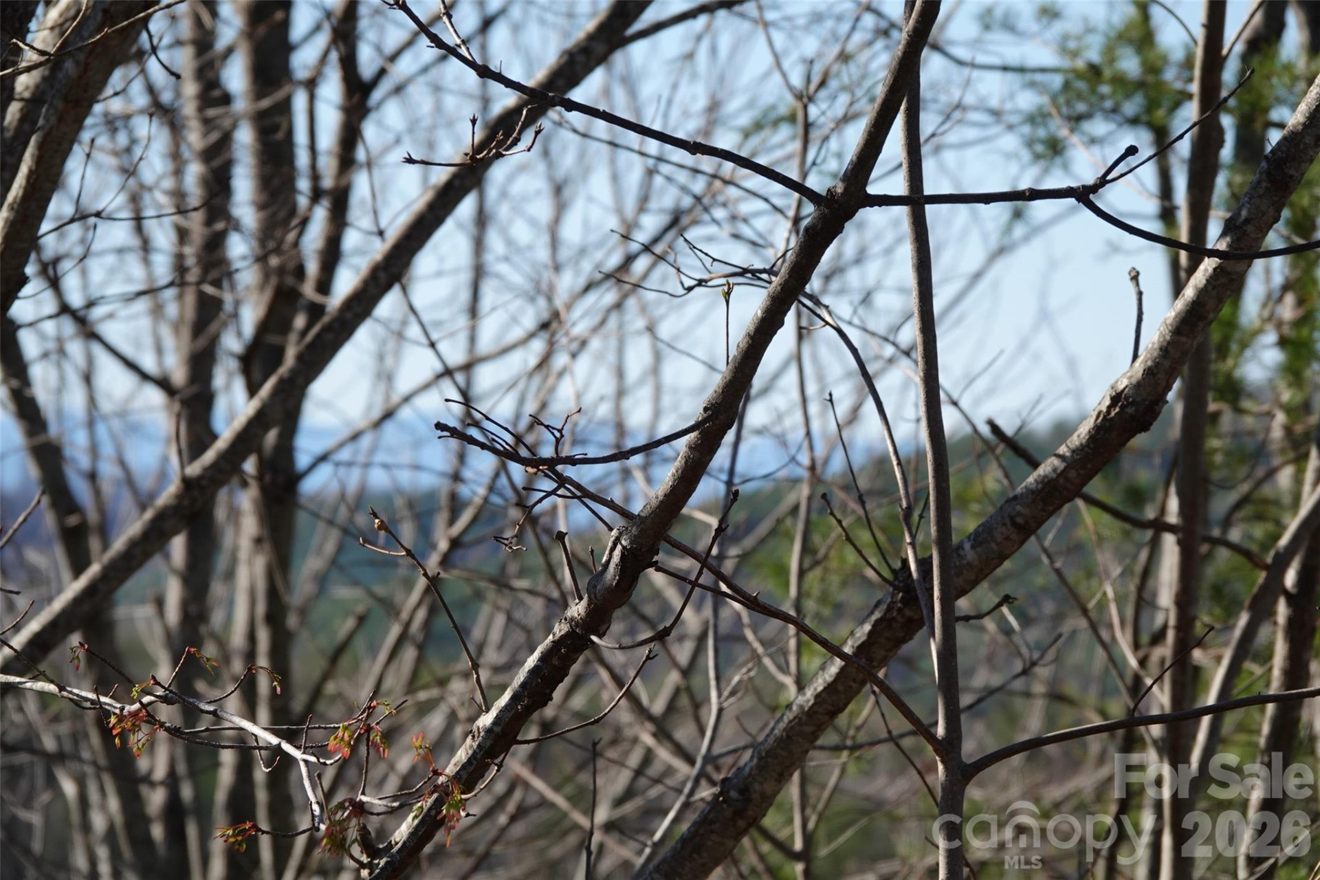 109 Ampersand Trail - Photo 8