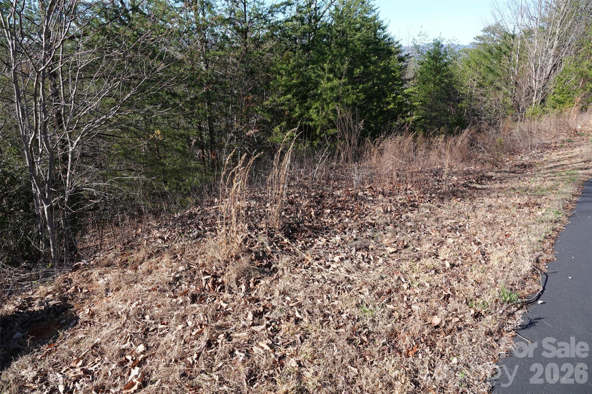 109 Ampersand Trail - Photo 10