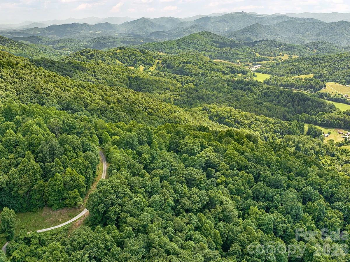 1160 High Rock Mountain Road - Photo 24