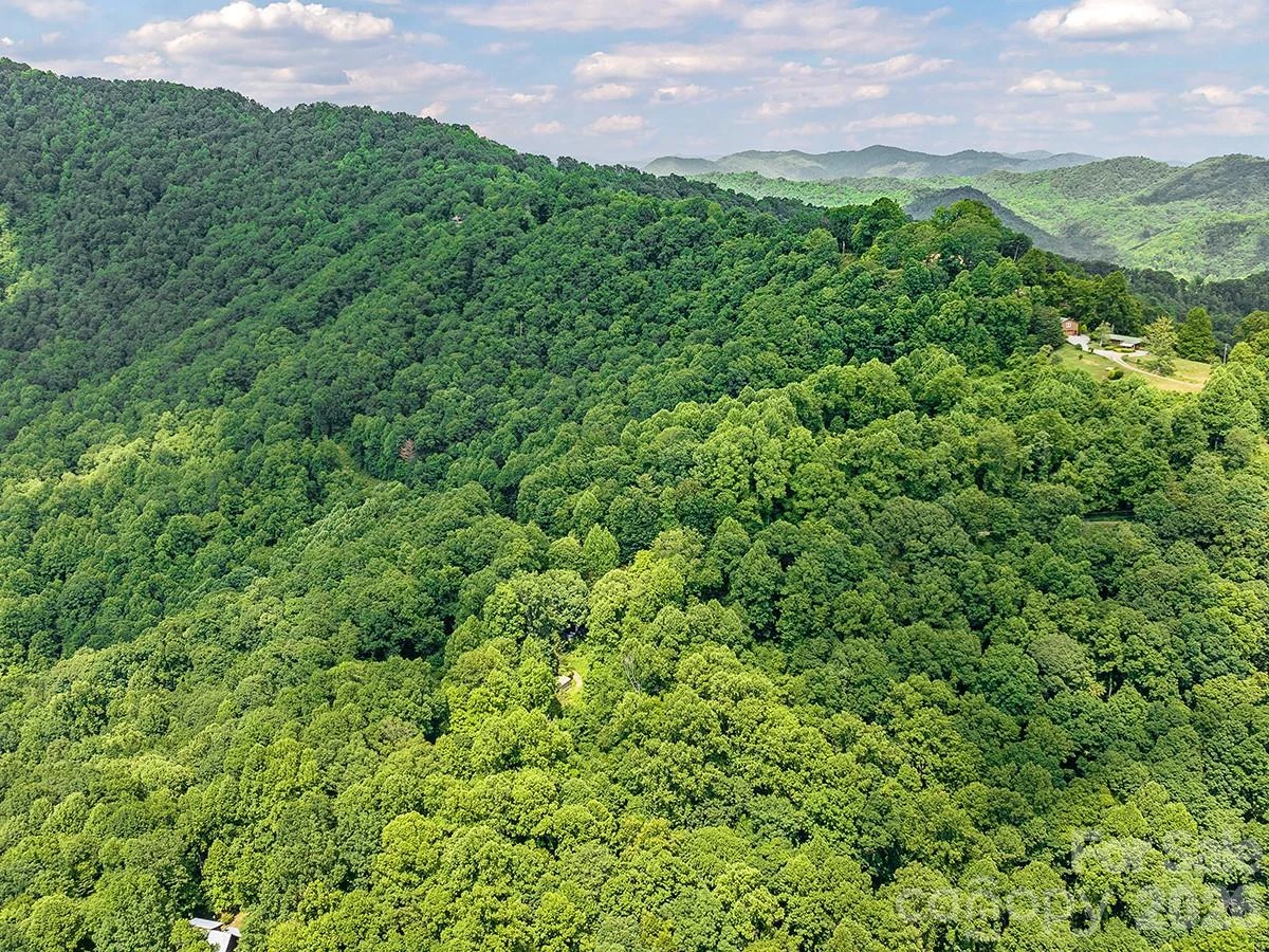 1160 High Rock Mountain Road - Photo 26