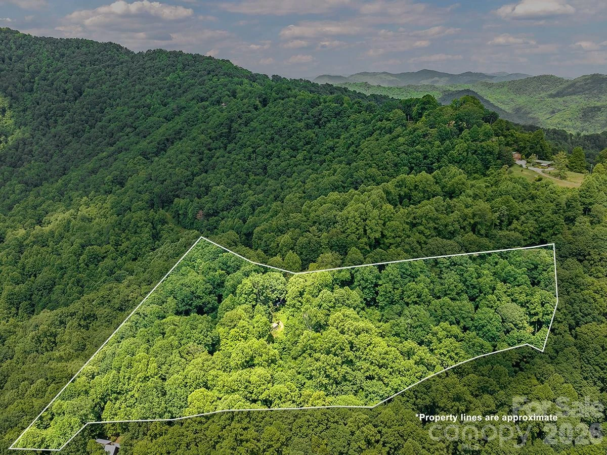 1160 High Rock Mountain Road - Photo 8