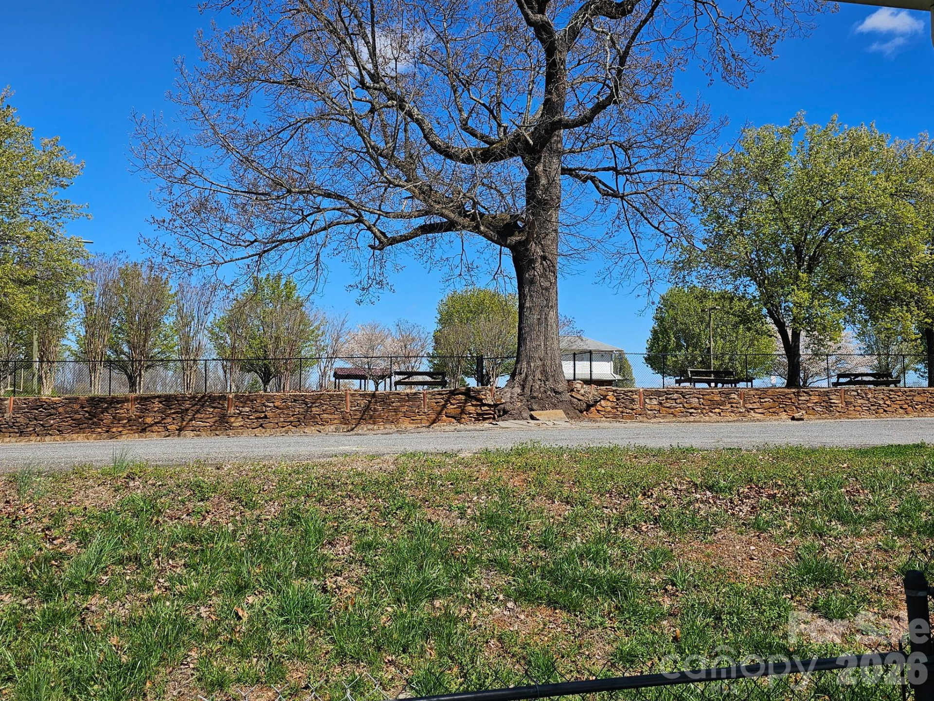 213 Colombo Street - Photo 13