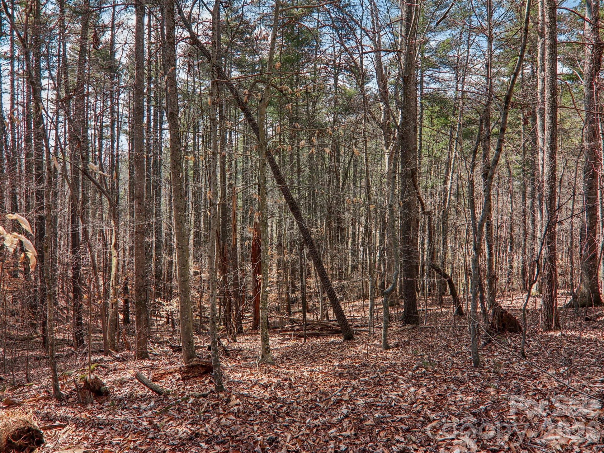 74 Woodson Drive - Photo 30