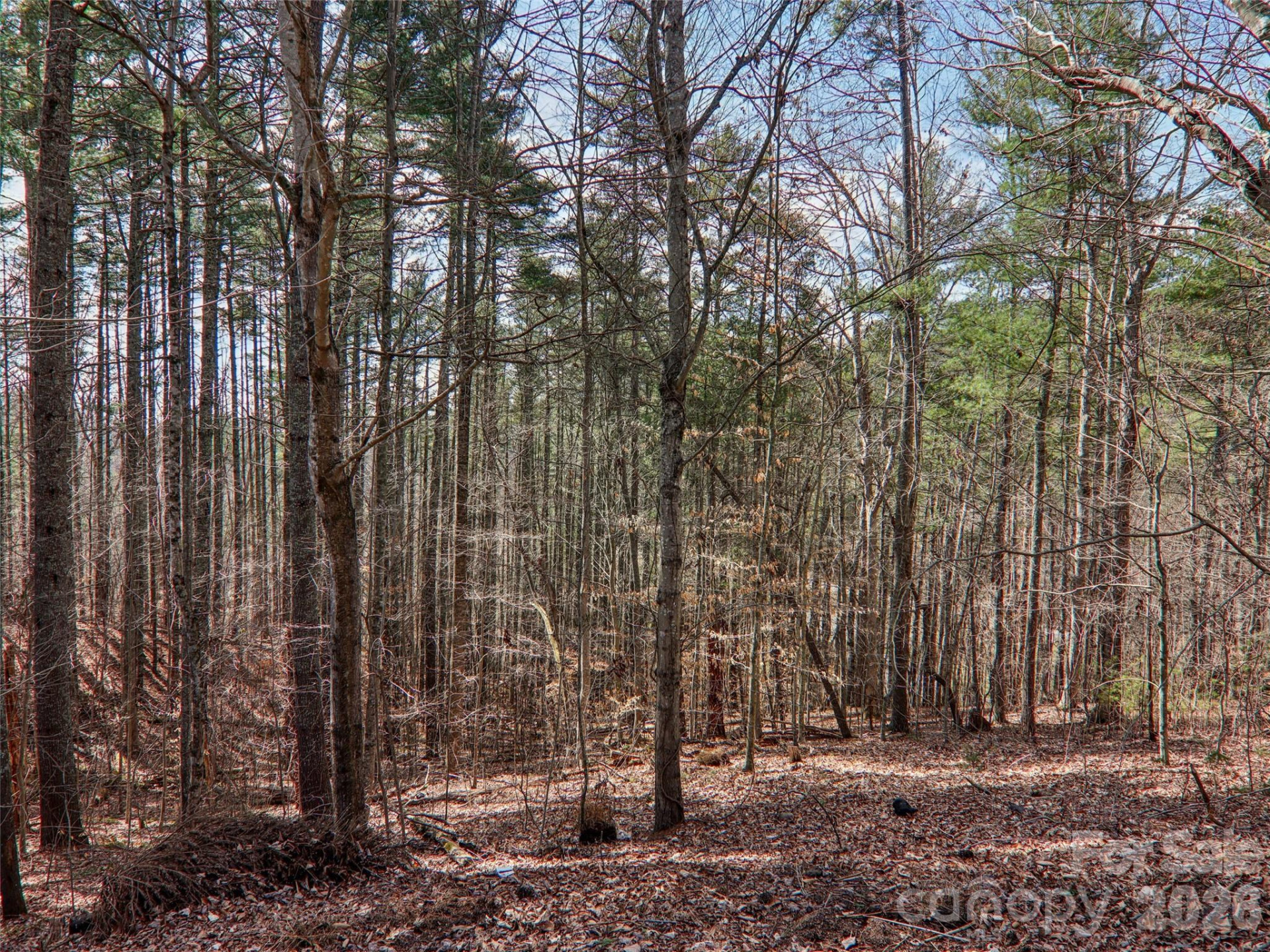 74 Woodson Drive - Photo 31