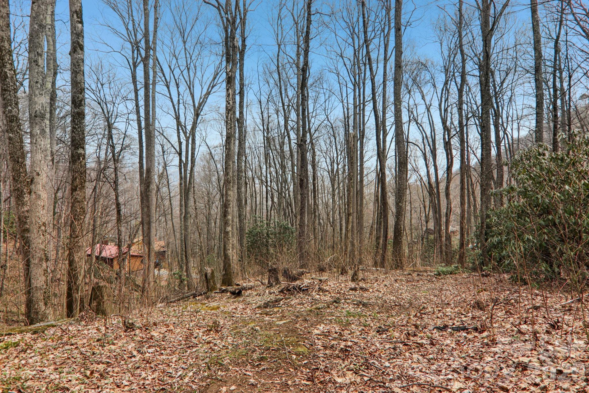 33 Fernbrook Road - Photo 5