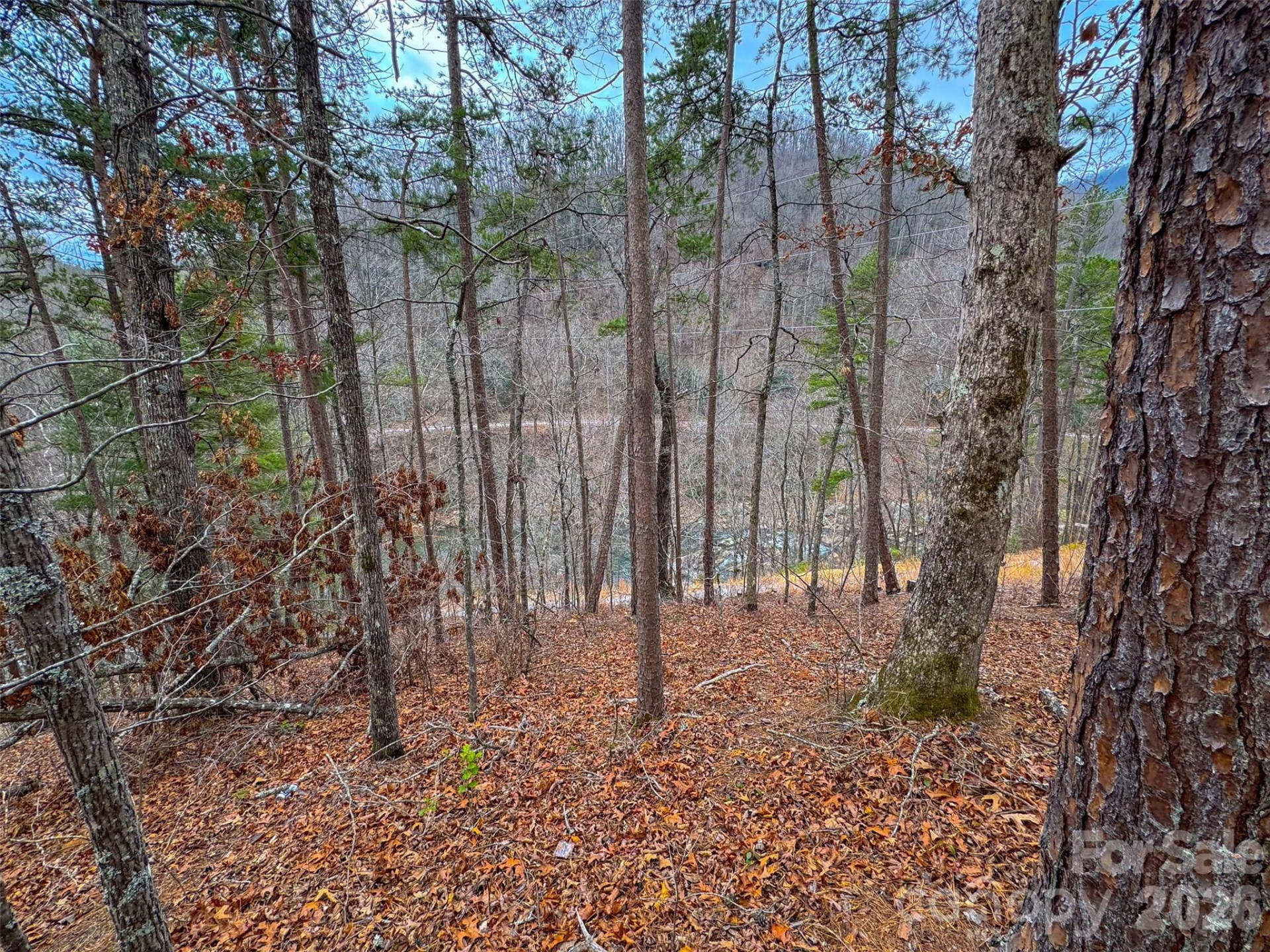 Lot 3 River Valley Estates #3 - Photo 11