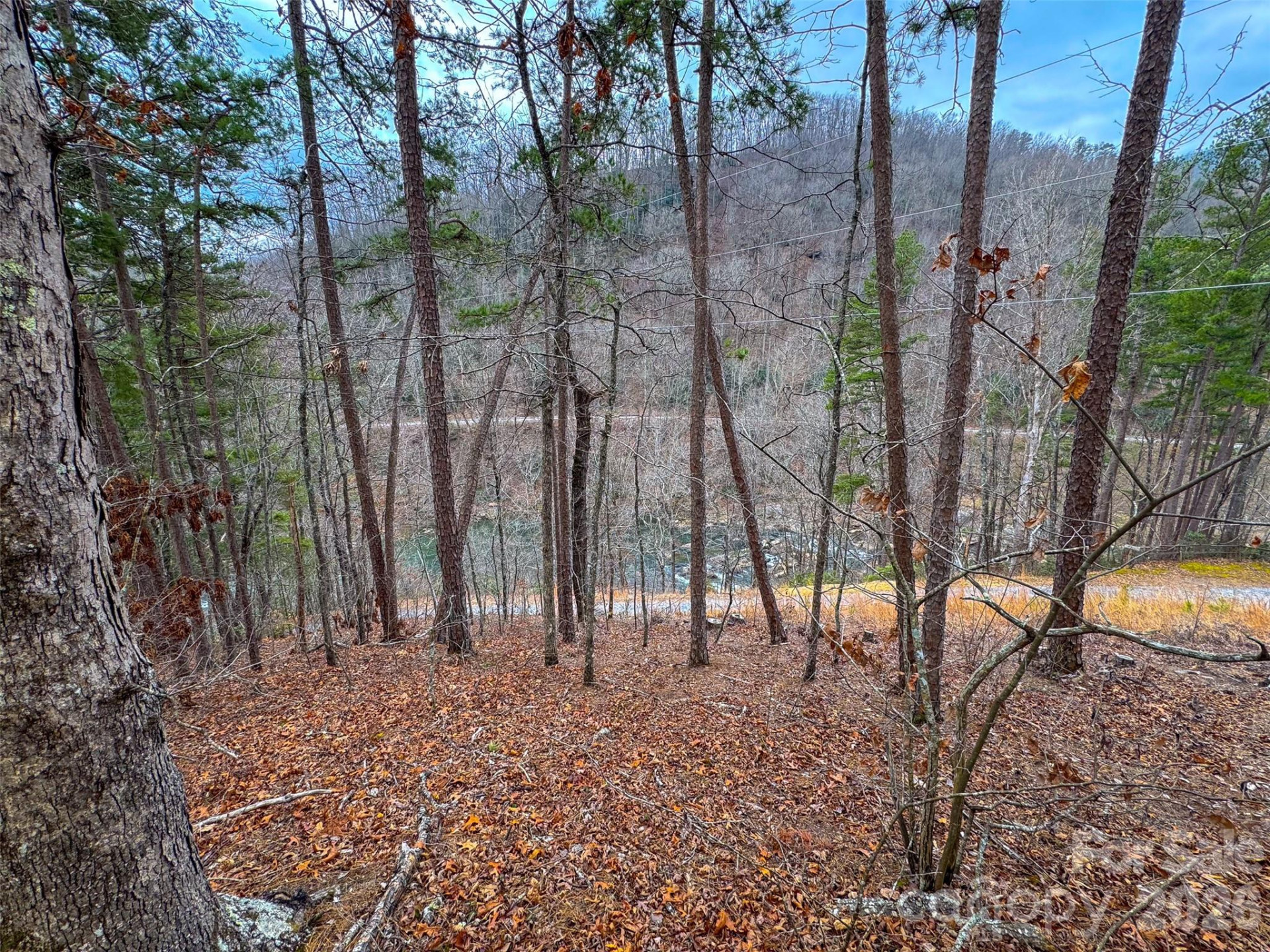 Lot 3 River Valley Estates #3 - Photo 12