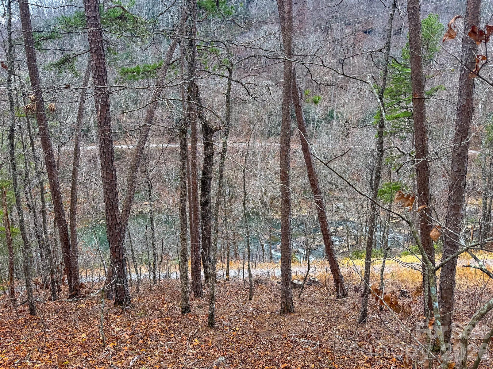 Lot 3 River Valley Estates #3 - Photo 13