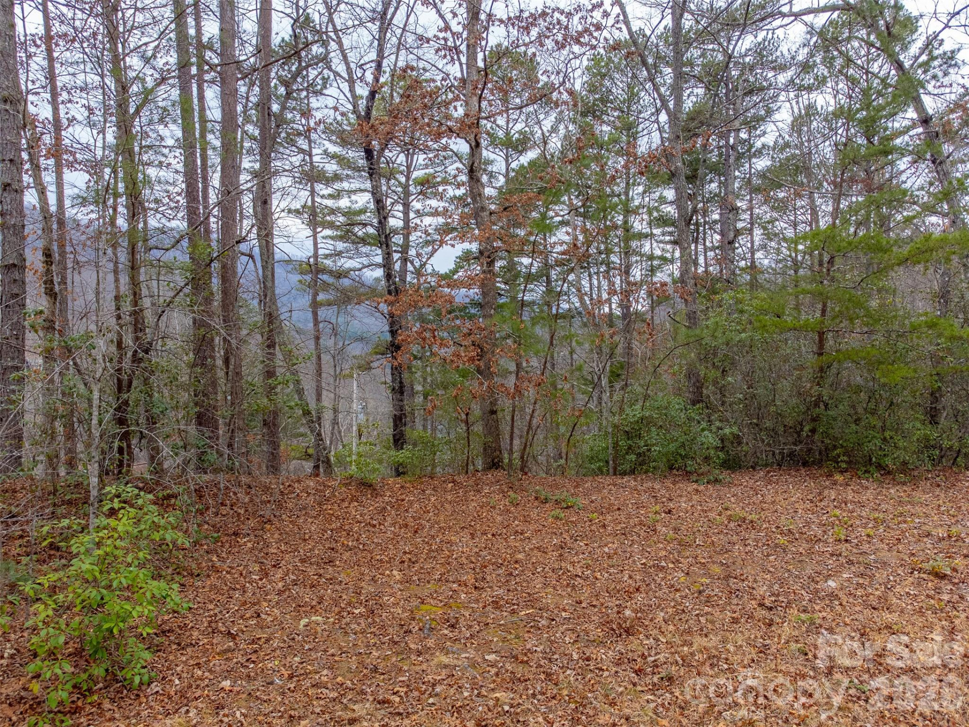 Lot 3 River Valley Estates #3 - Photo 16