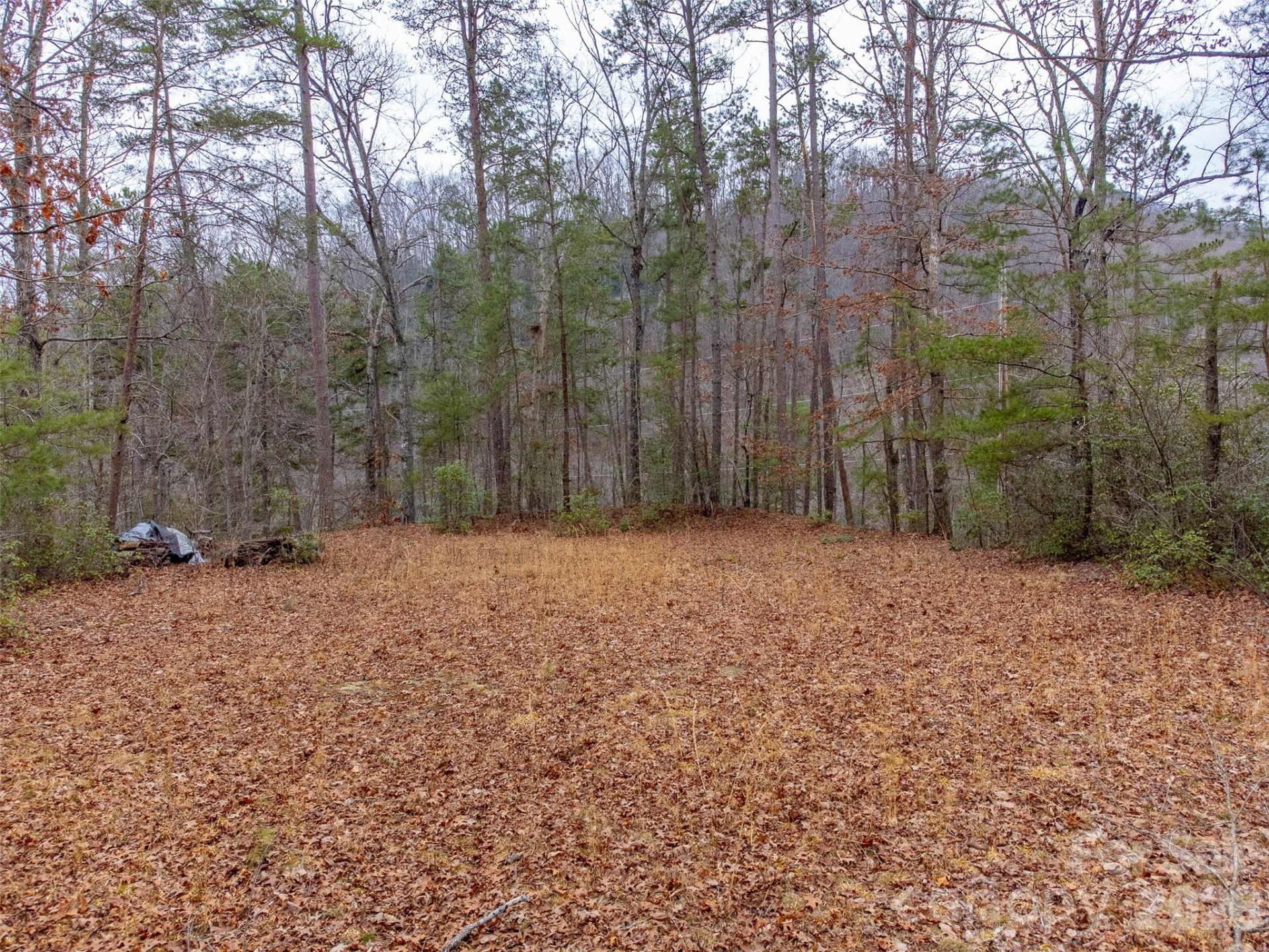 Lot 3 River Valley Estates #3 - Photo 6